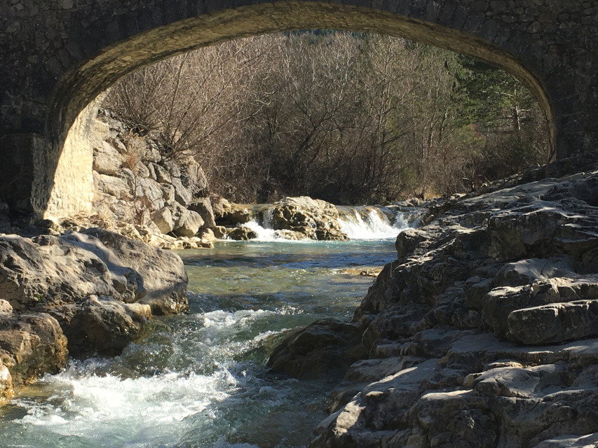 - image: 12