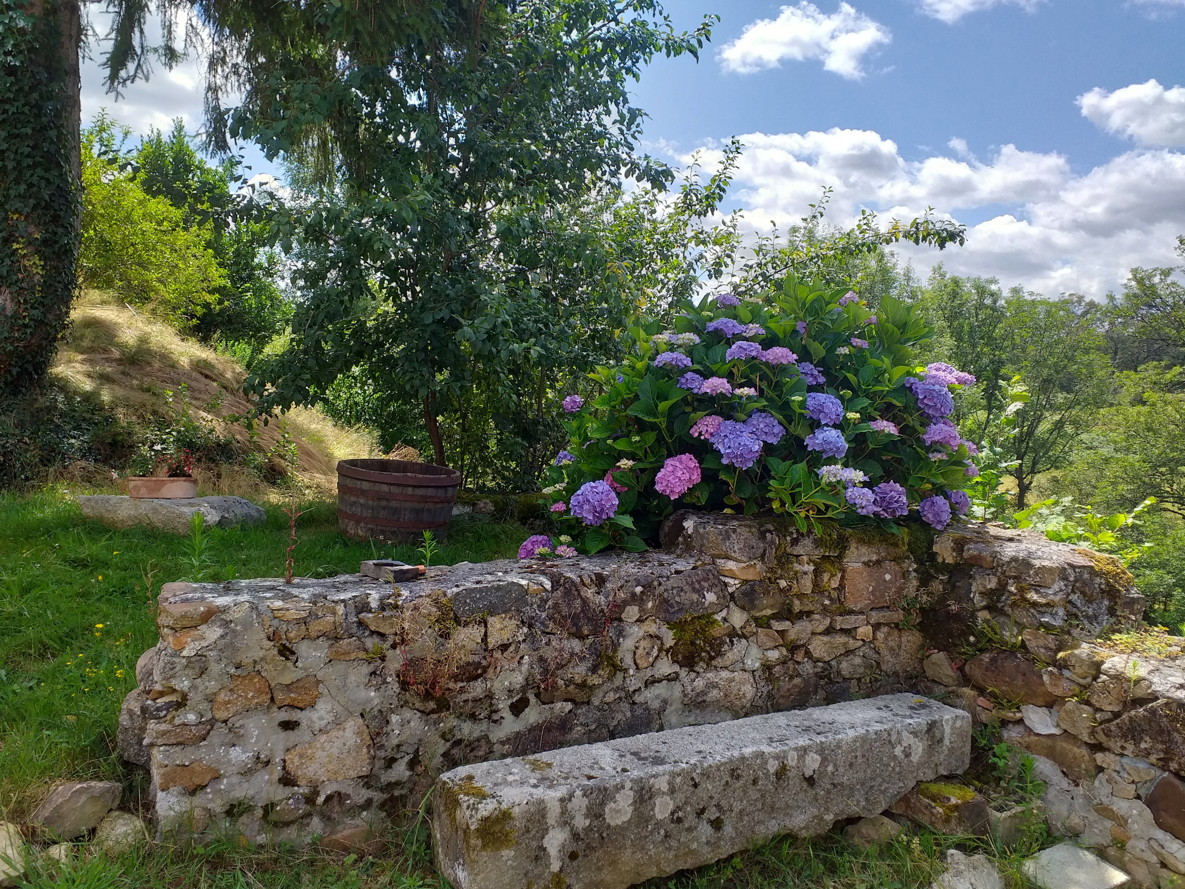 - image: 20