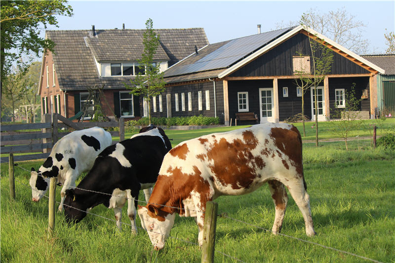 Naturhäuschen in Westendorp