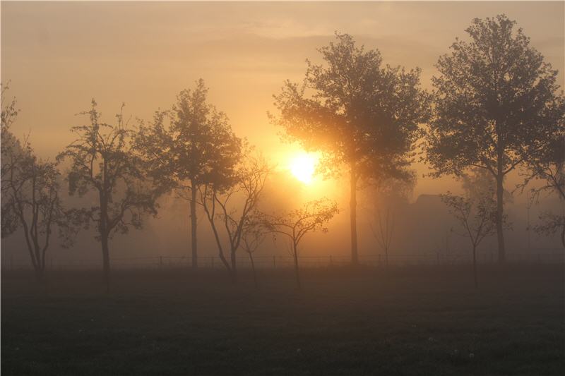 - image: 18