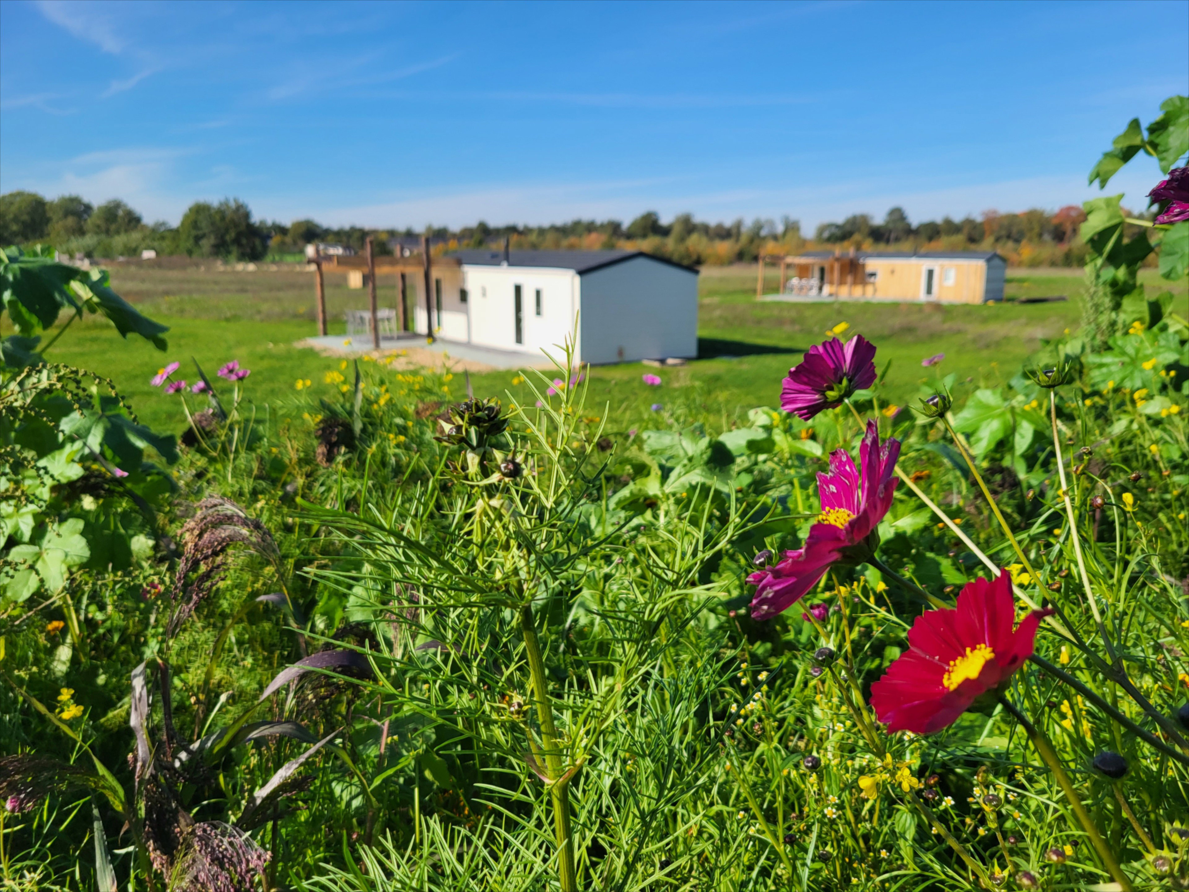 Natuurhuisje in Heythuysen