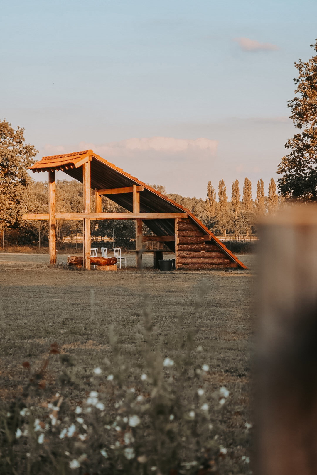 - image: 19