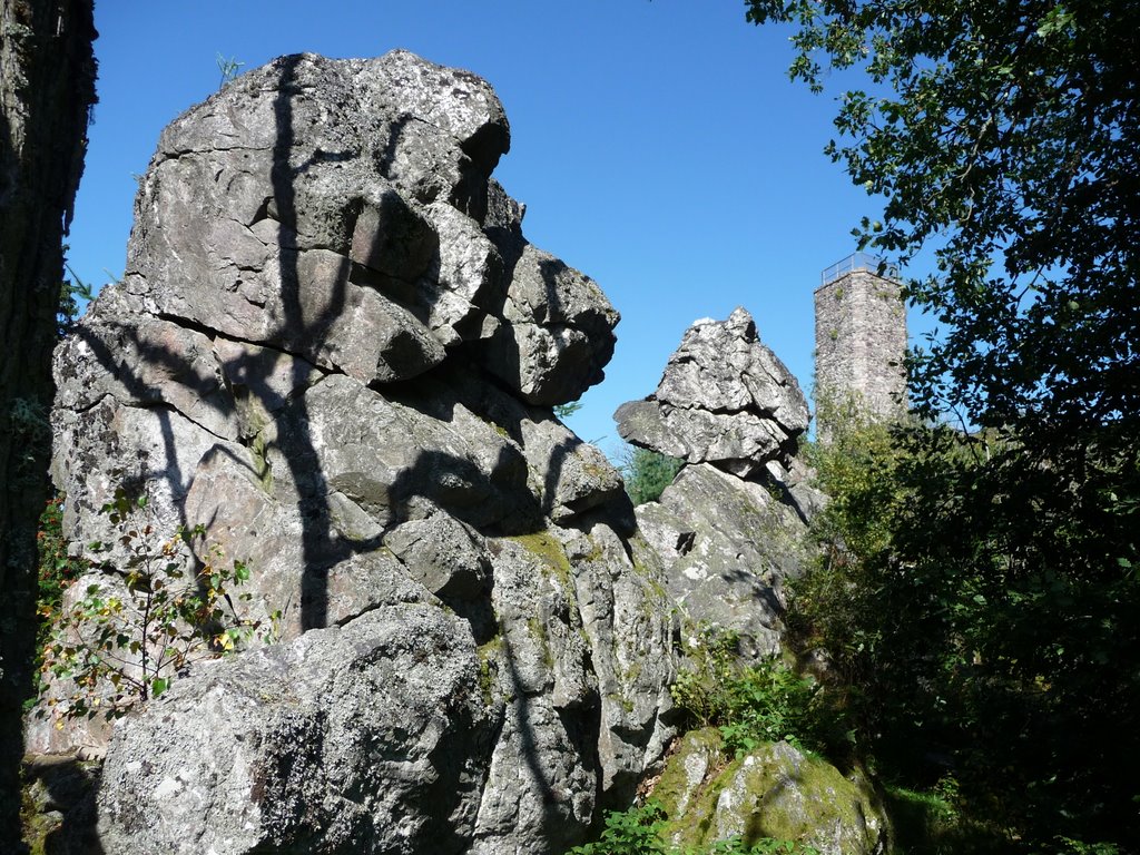 - image: 21