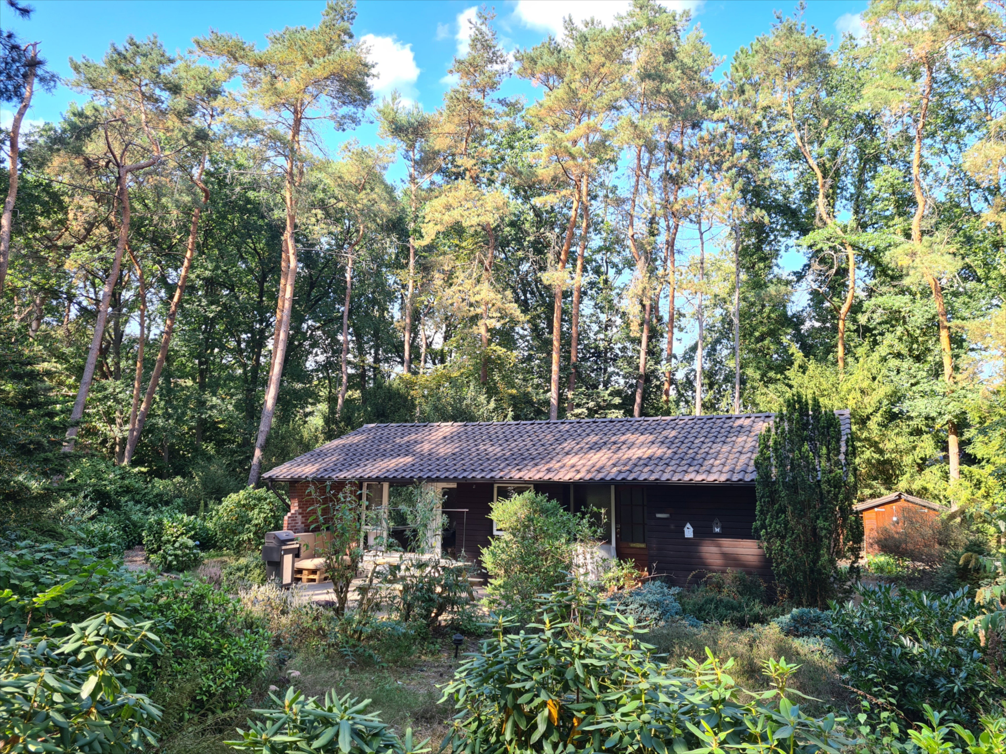 Naturhäuschen in Winterswijk