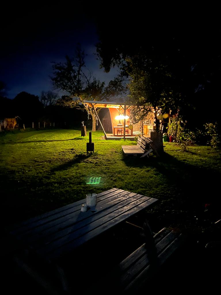 - image: 11