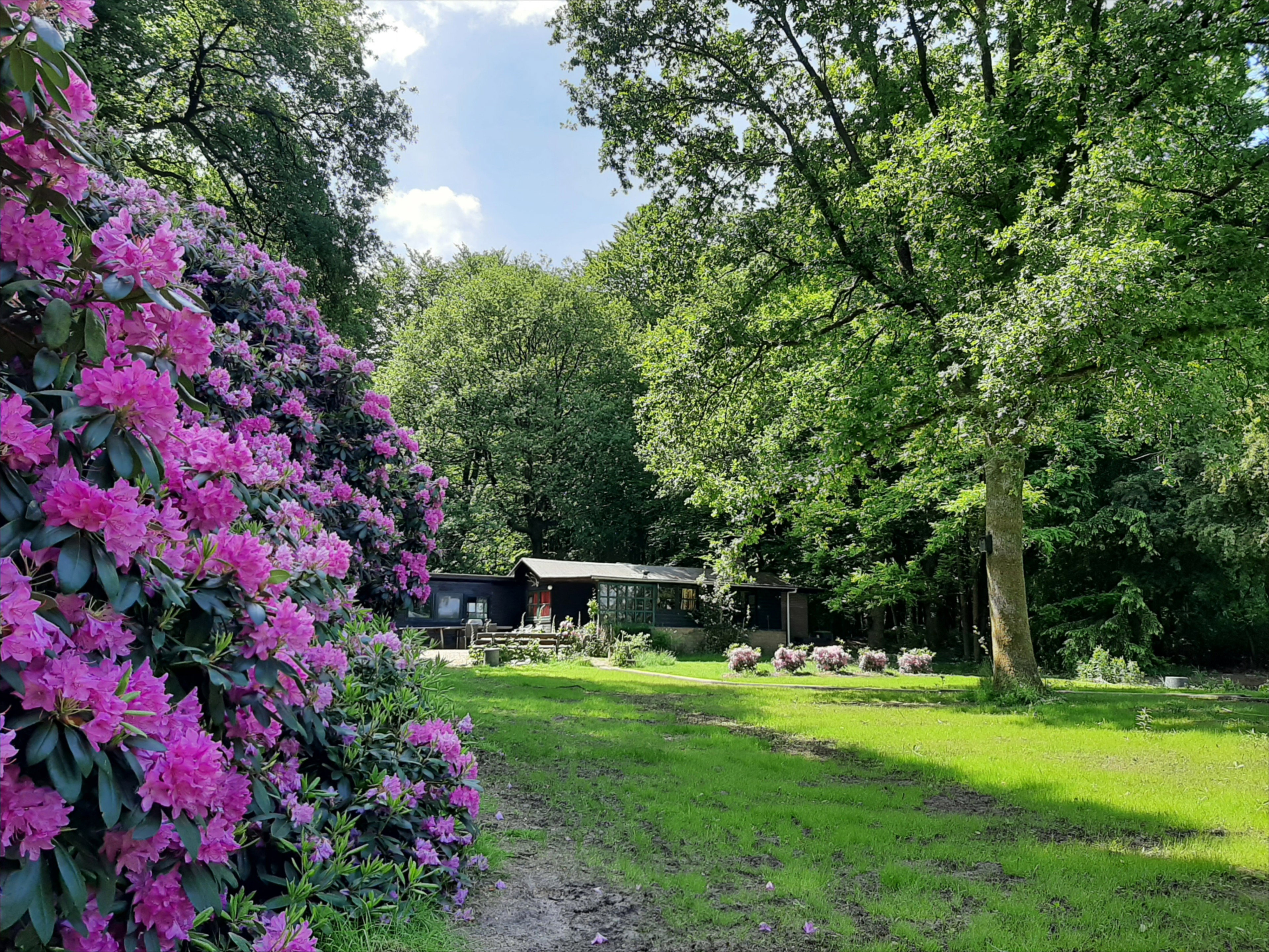 Naturhäuschen in Ermelo