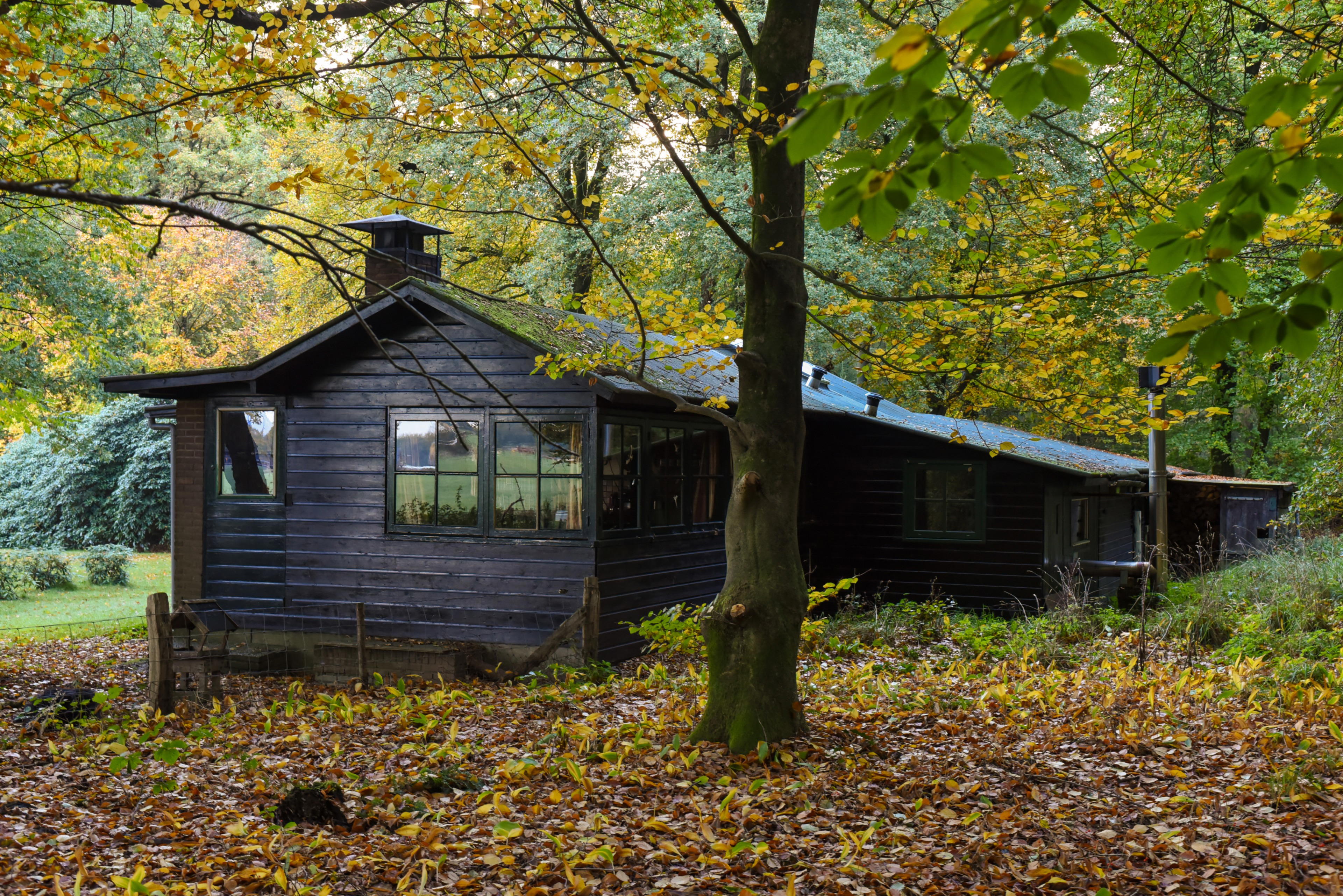 Natuurhuisje in Ermelo