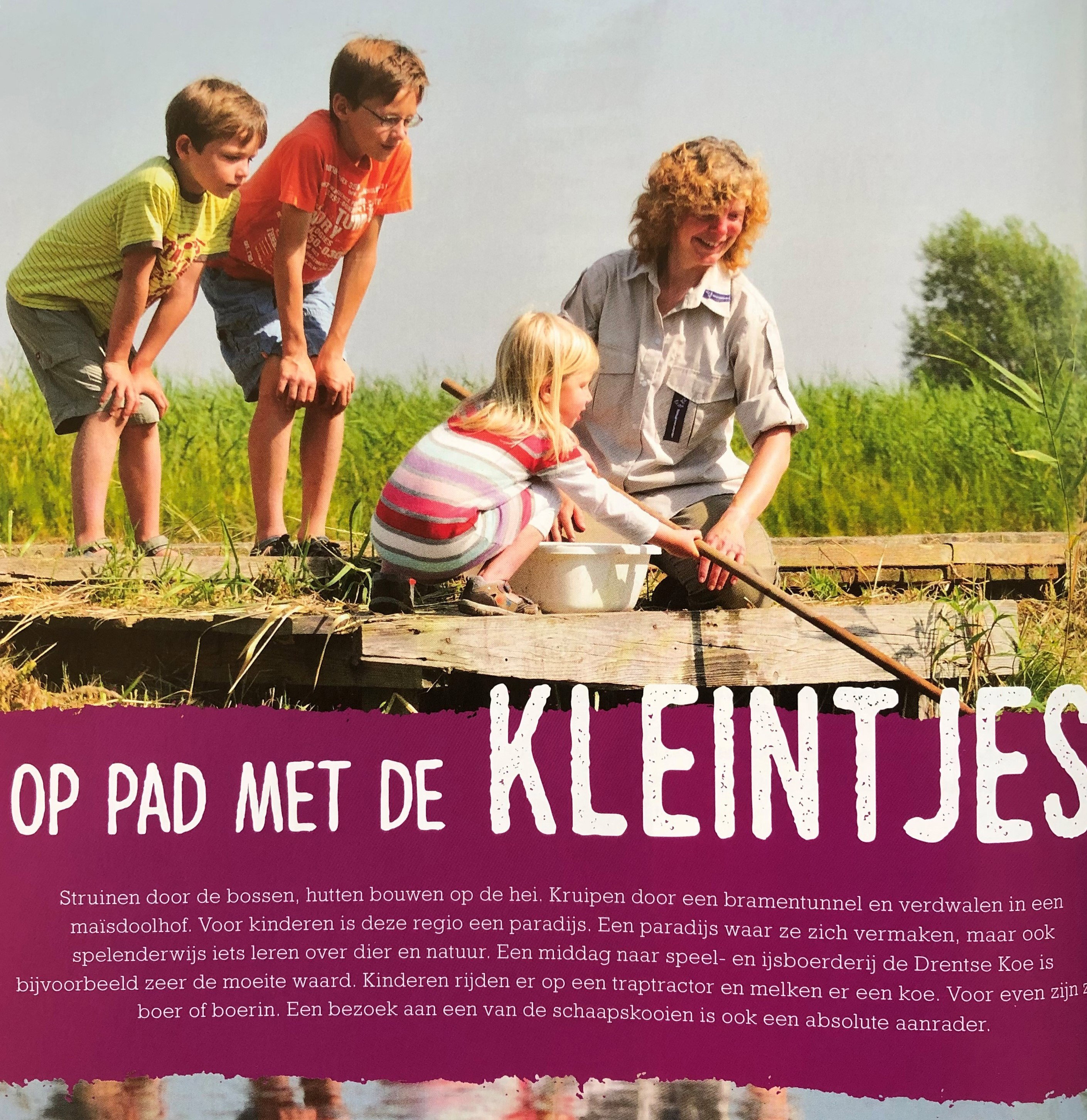 - image: 41