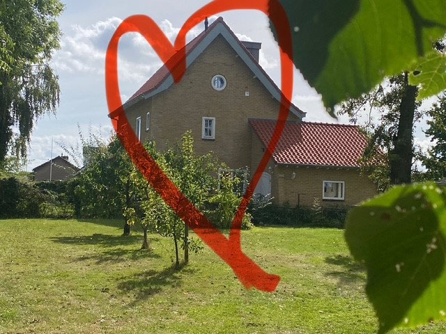 - image: 23