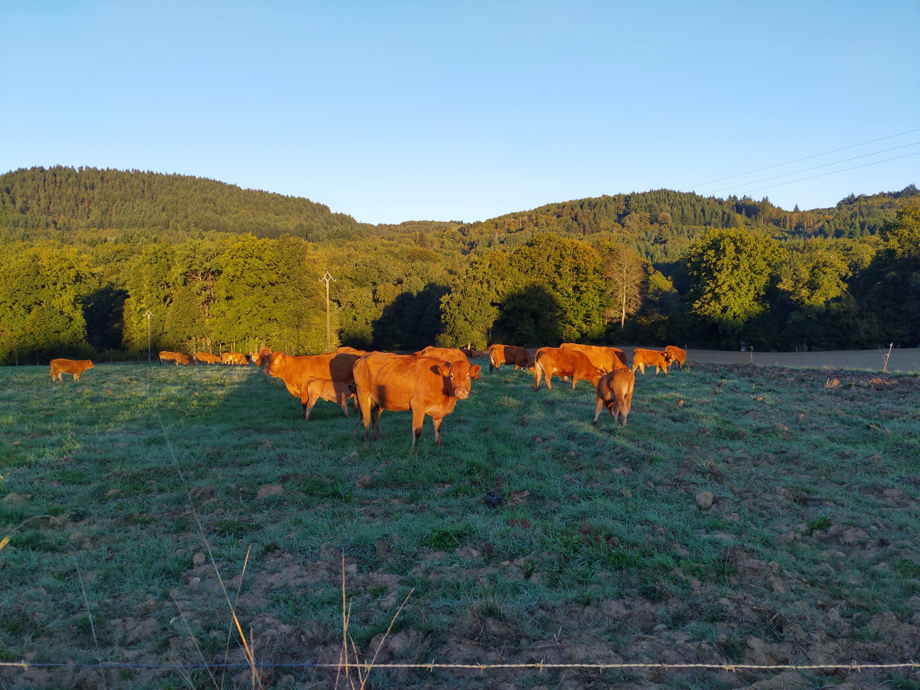 Natuurhuisje in St. Julien-le- Petit