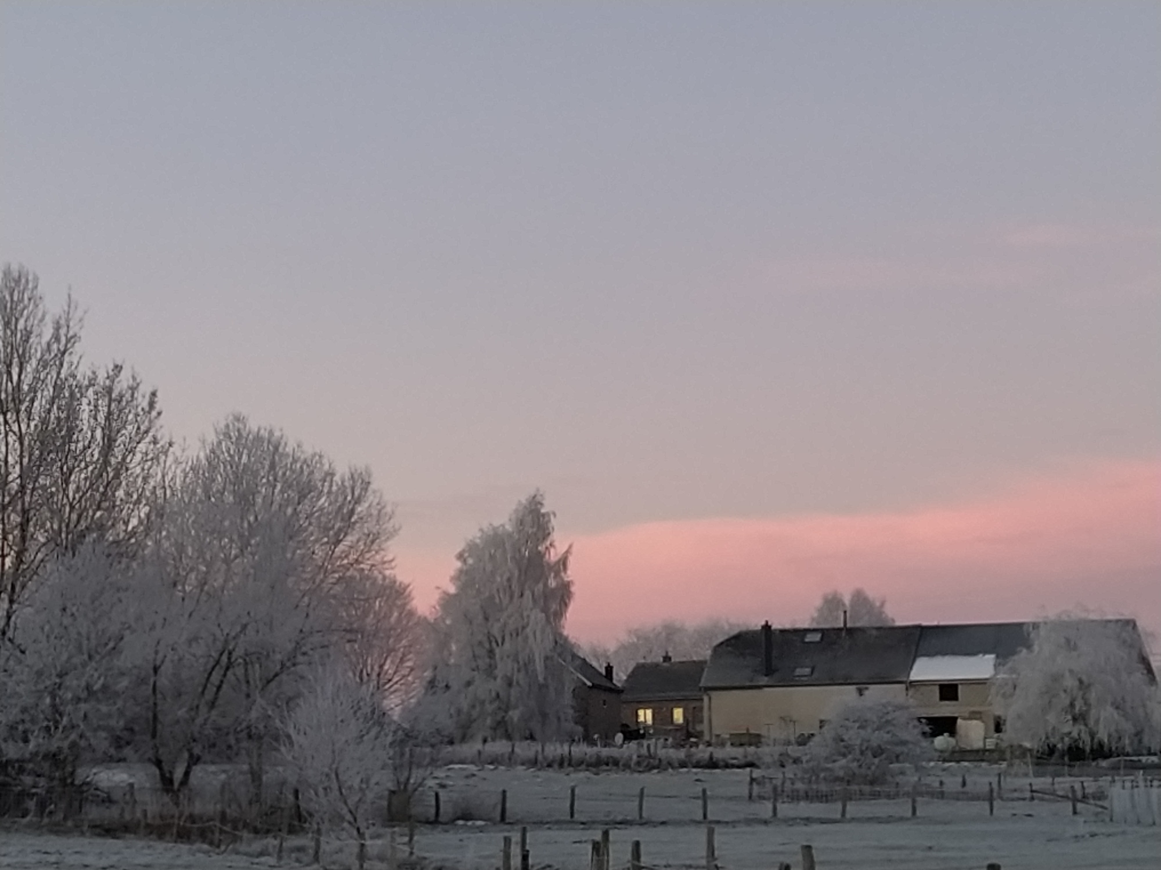 - image: 49