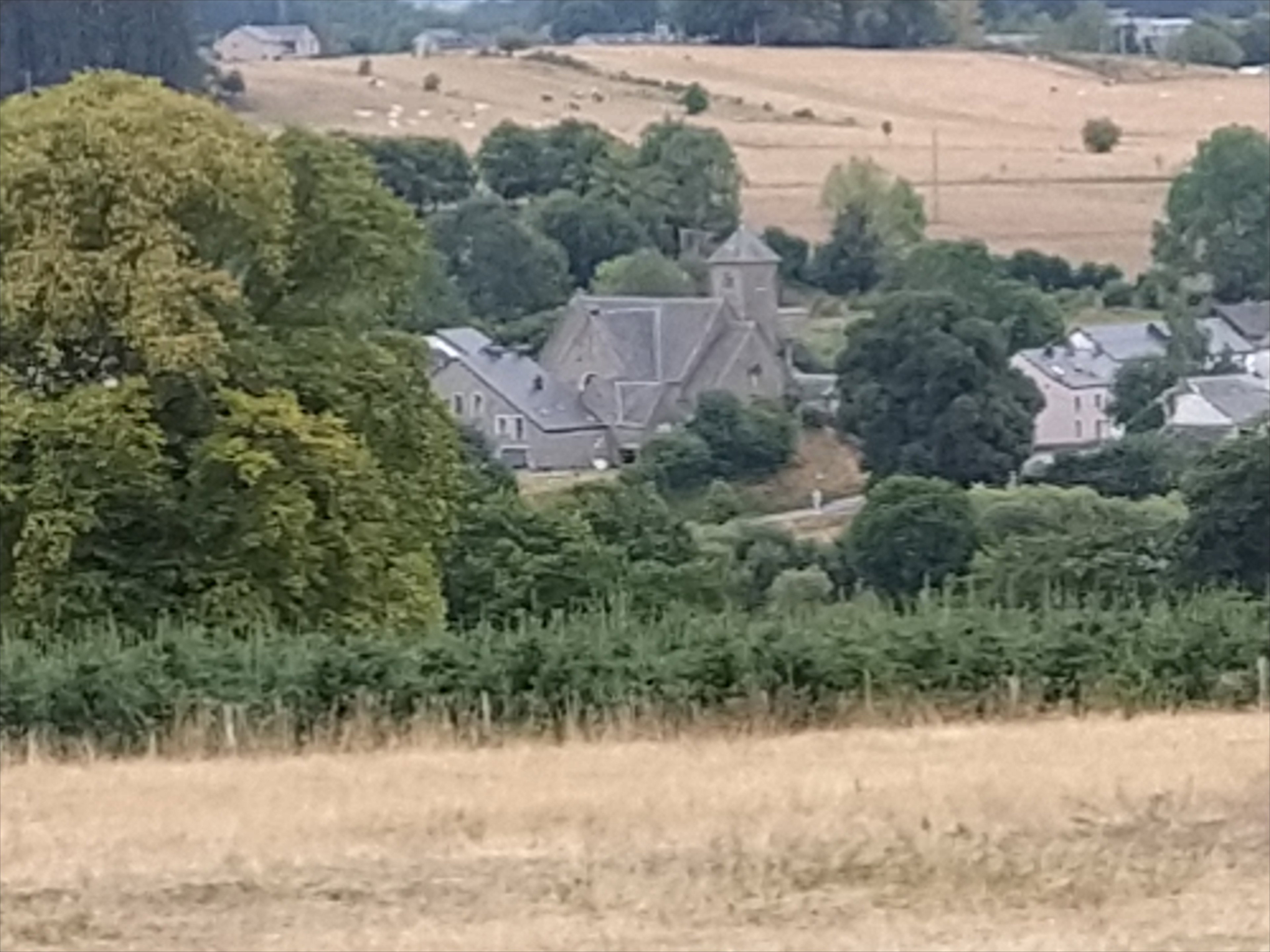 Natuurhuisje in Bertogne