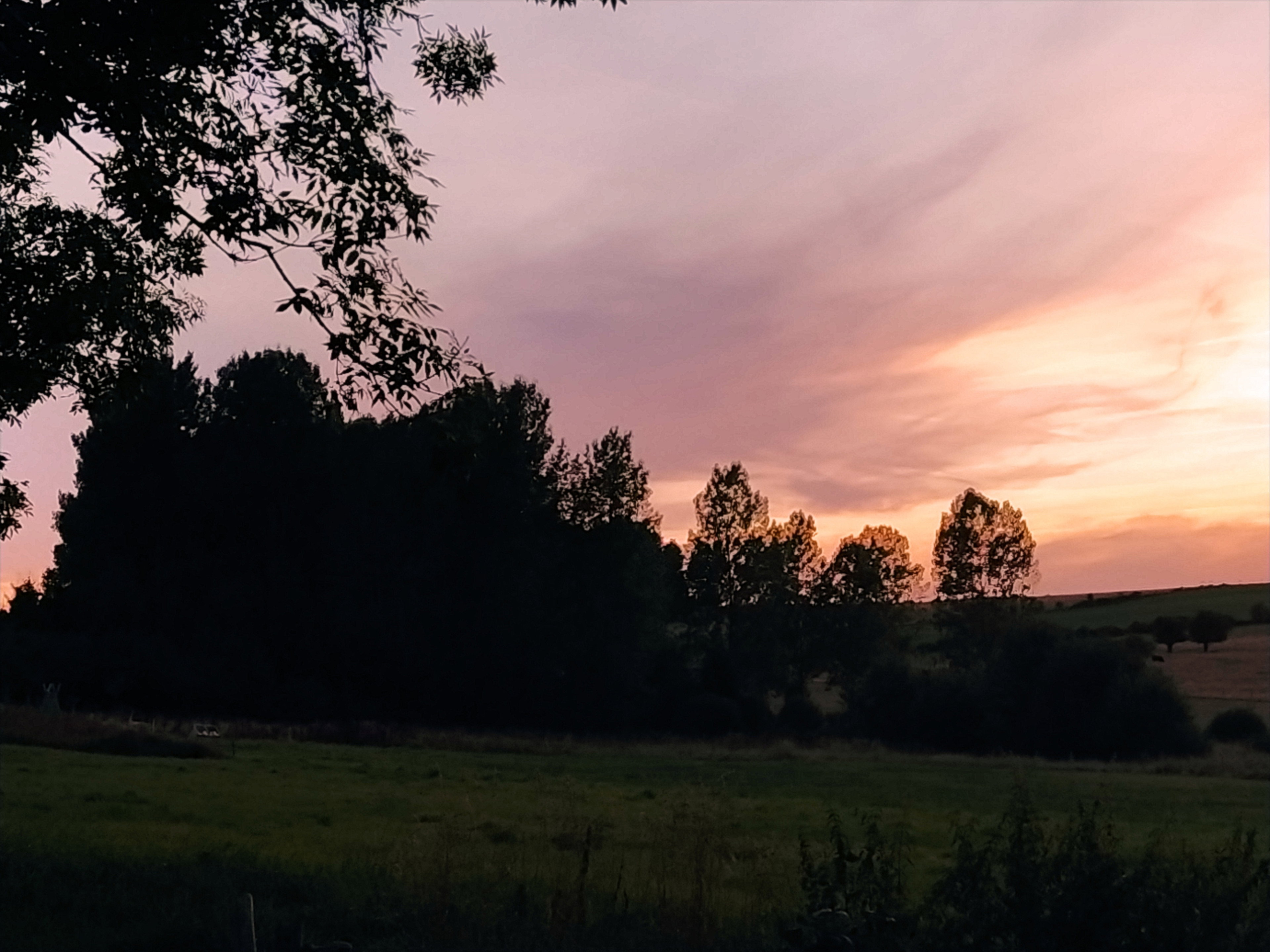 - image: 89