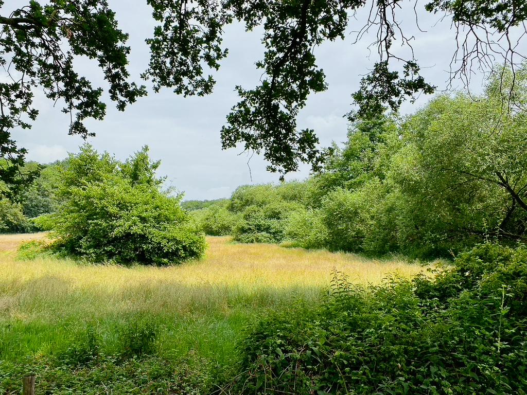 Naturhäuschen in Dalfsen