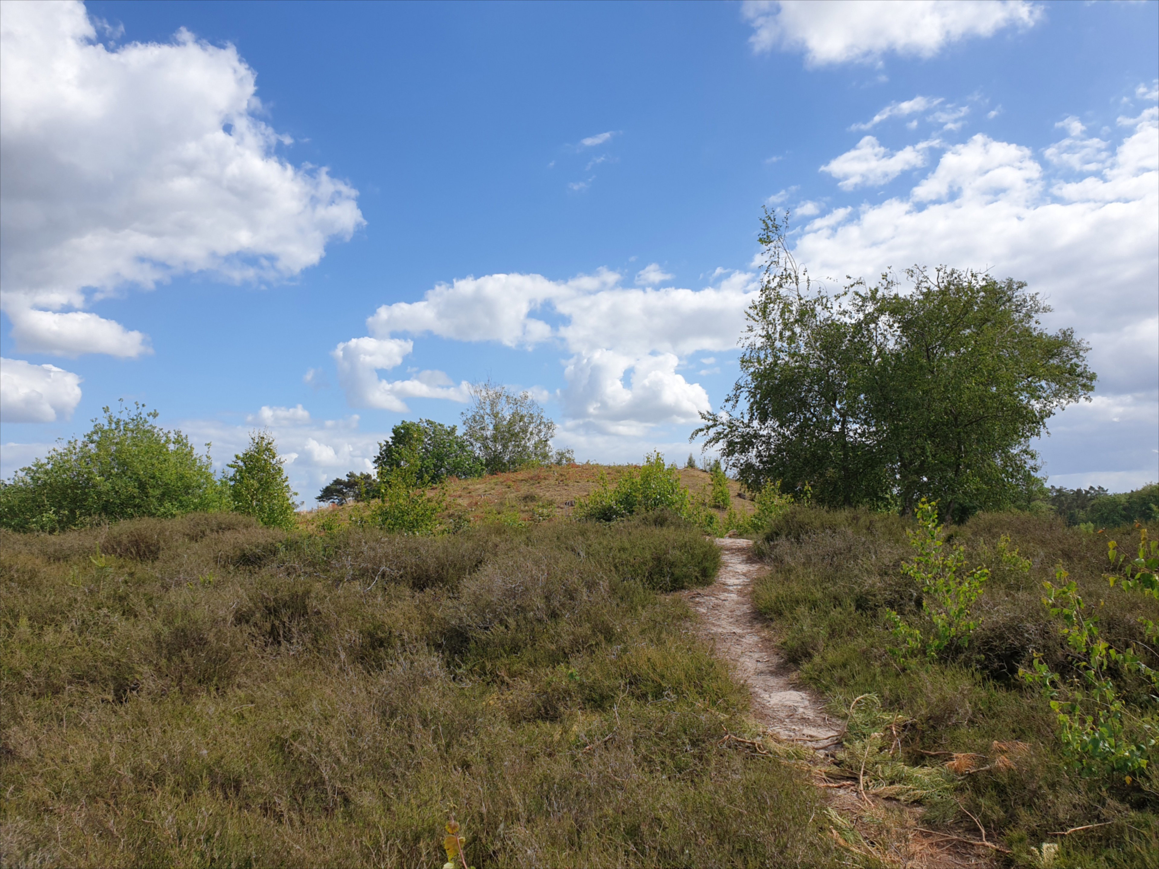 Natuurhuisje in Overasselt