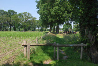 Naturhäuschen in Chaam