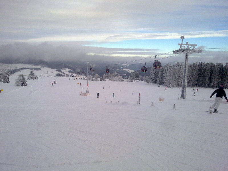 - image: 11