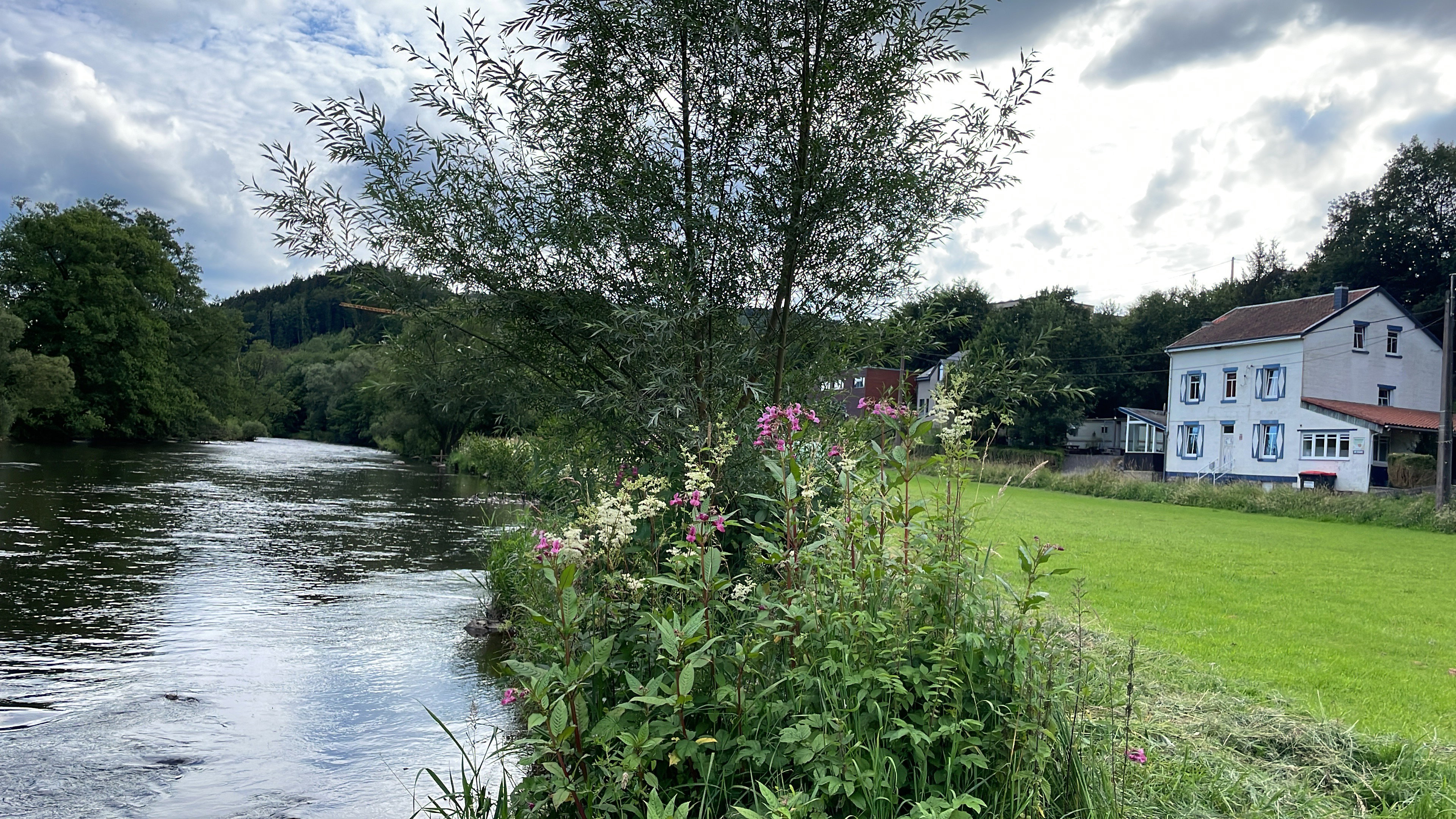 Natuurhuisje in Stavelot