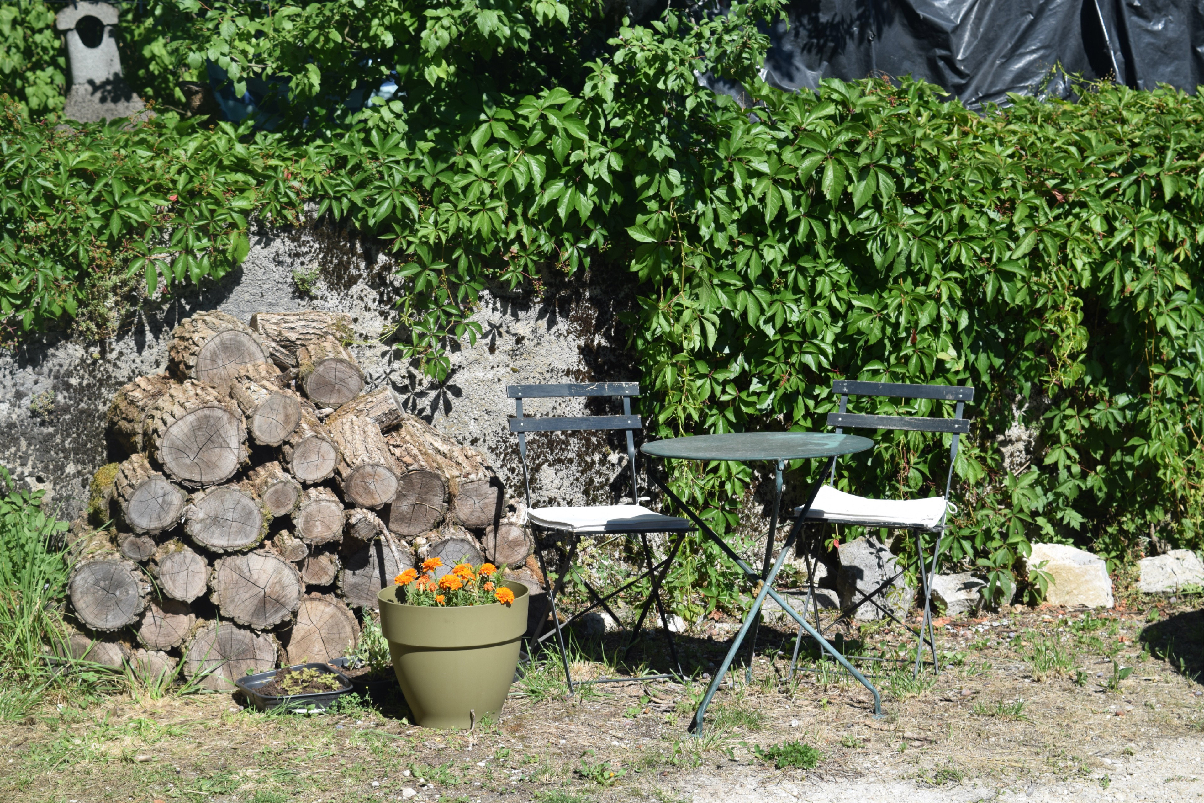 Natuurhuisje in La Tour du Meix
