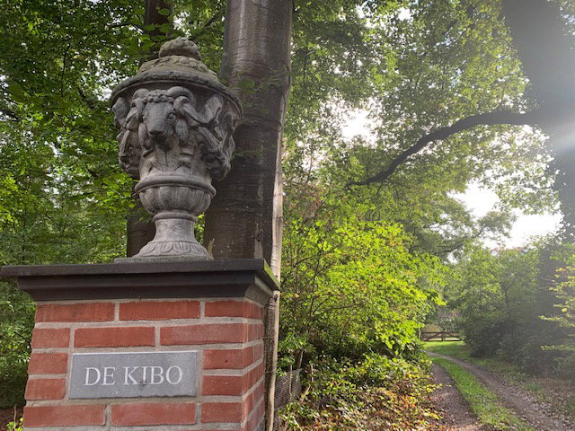 Casa nella natura a Hattem