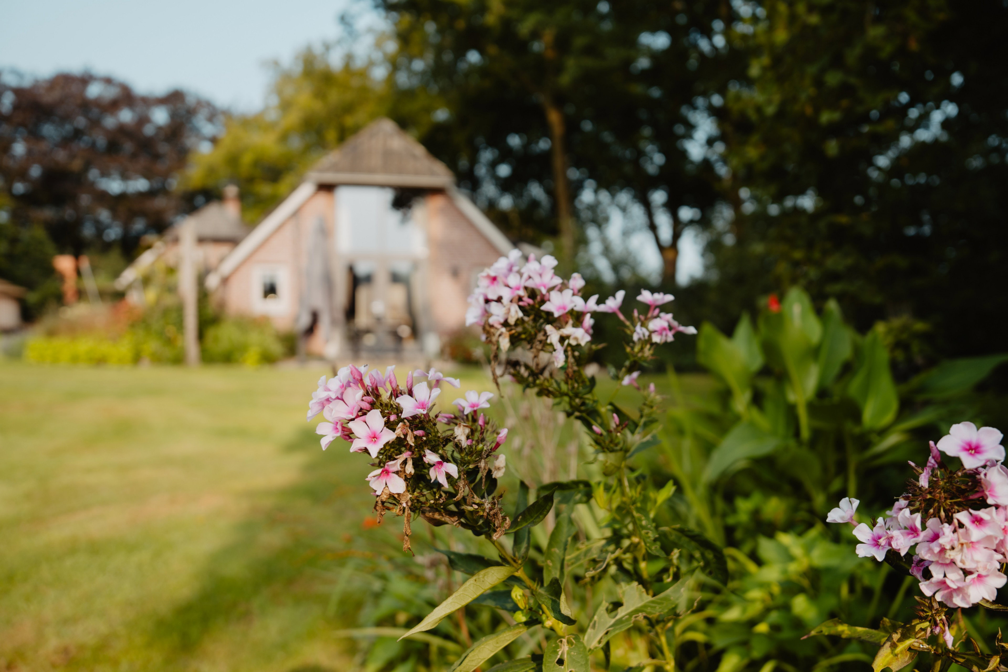 Casa nella natura a Zelhem