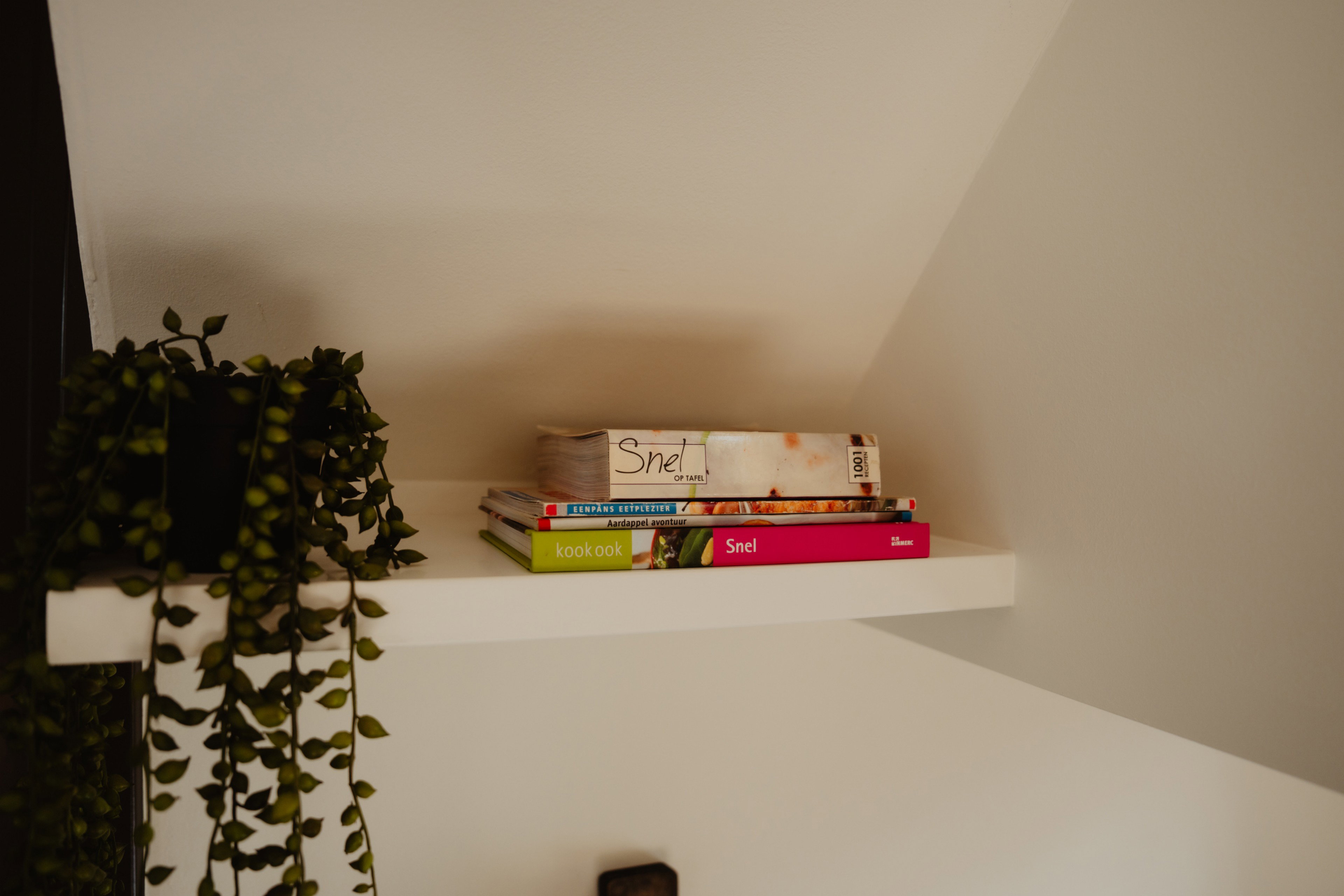 - image: 22