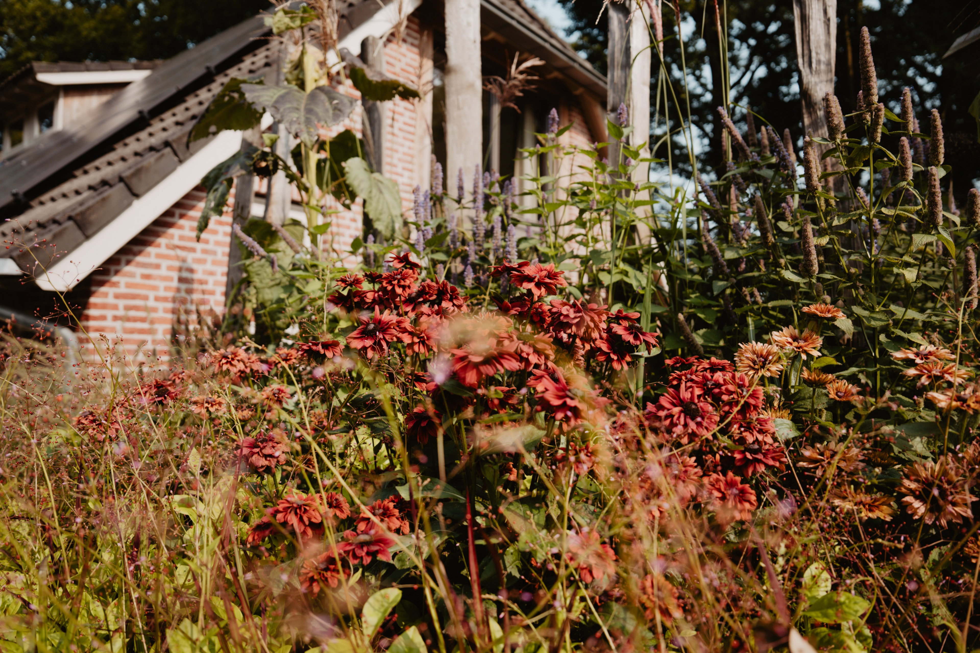 Casa nella natura a Zelhem