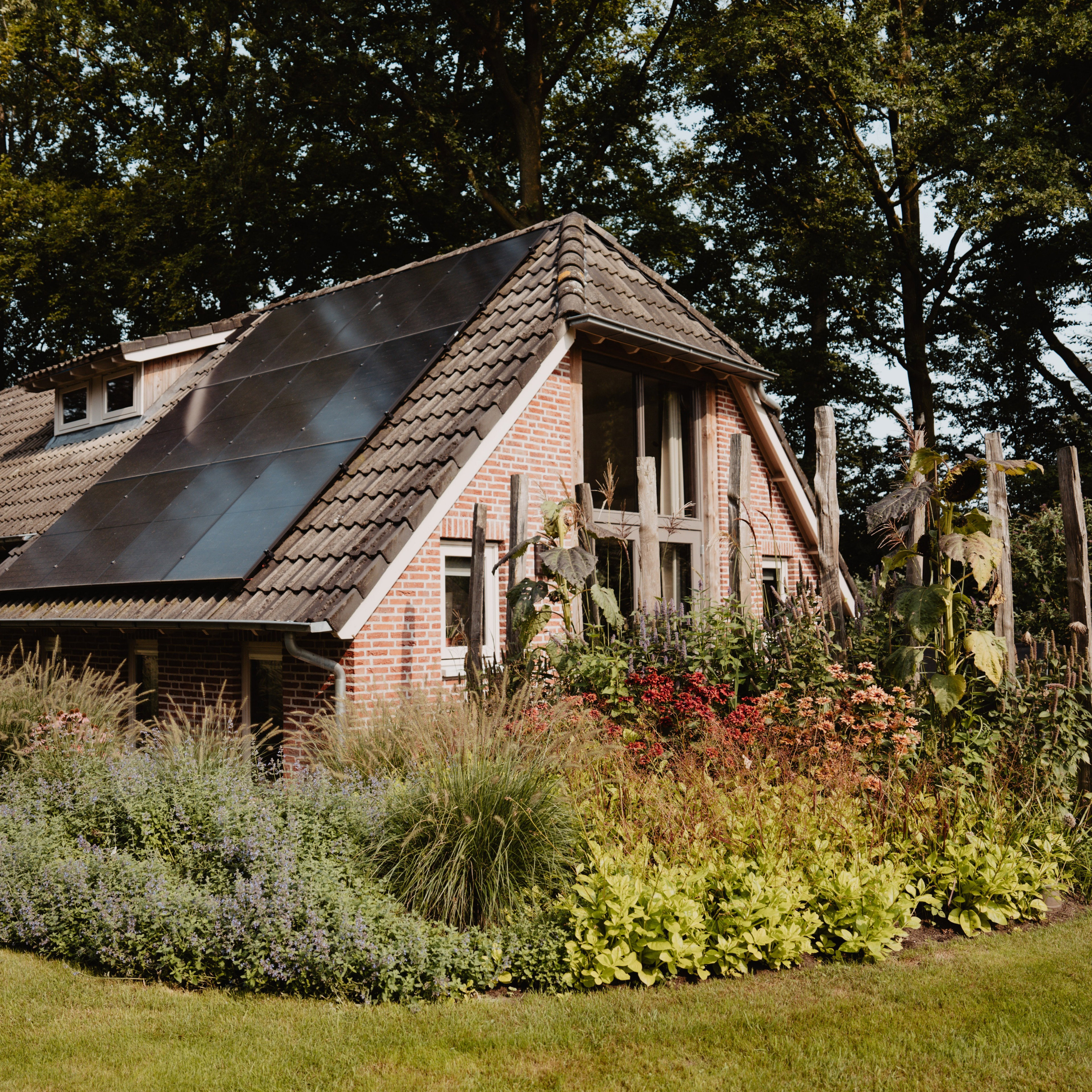 Casa nella natura a Zelhem