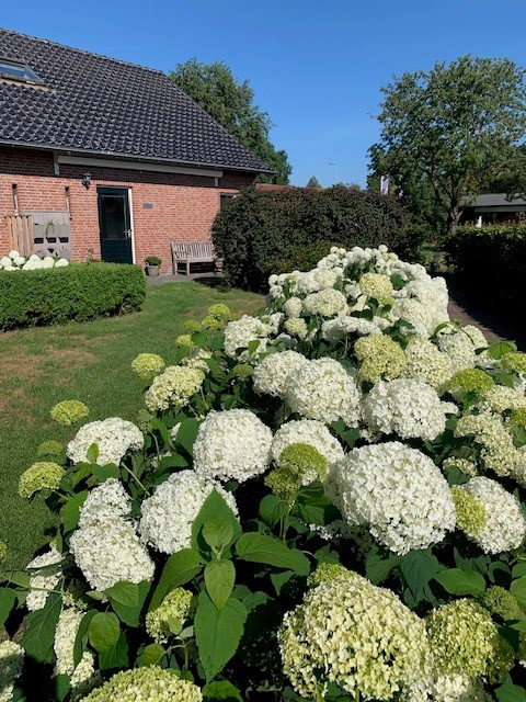 Naturhäuschen in De Pollen  (Vriezenveen)