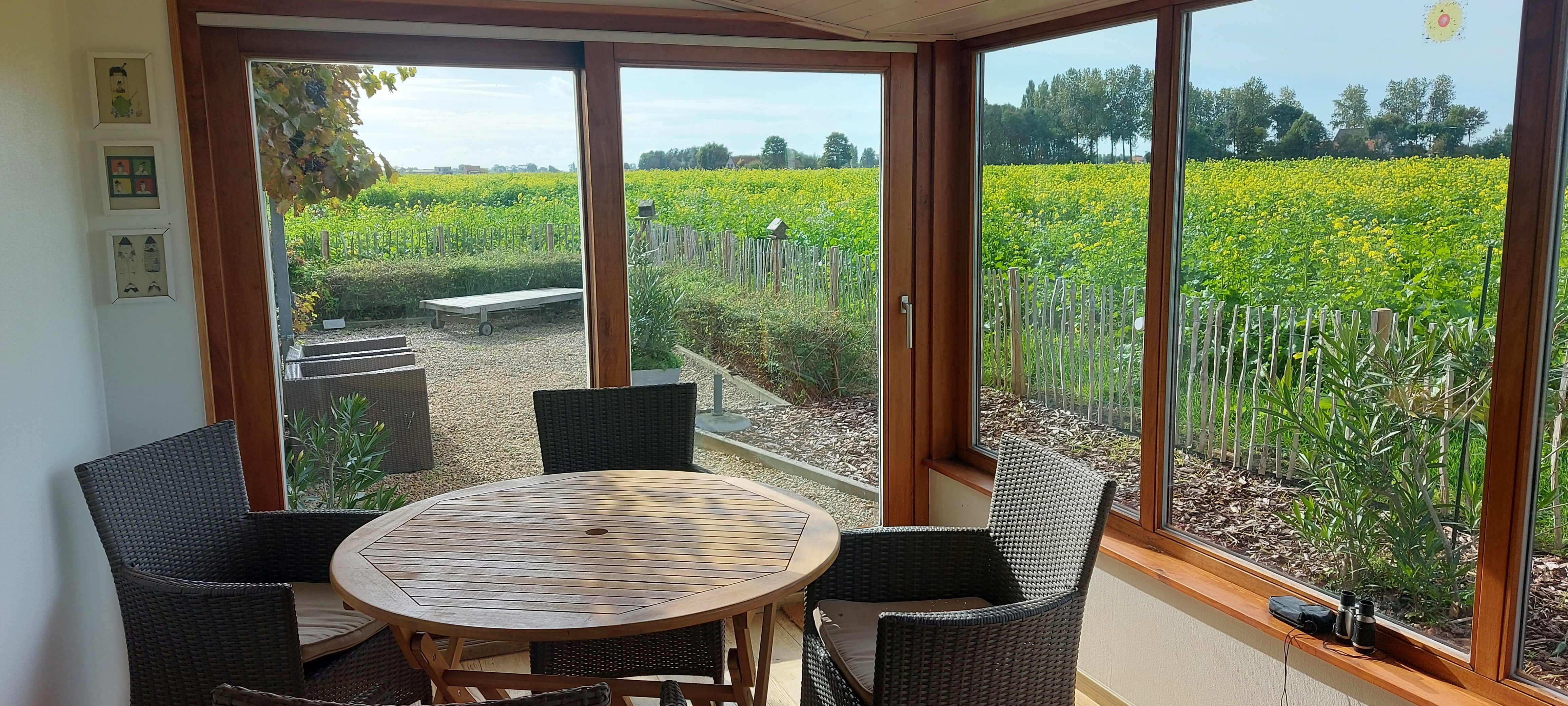 - image: 13