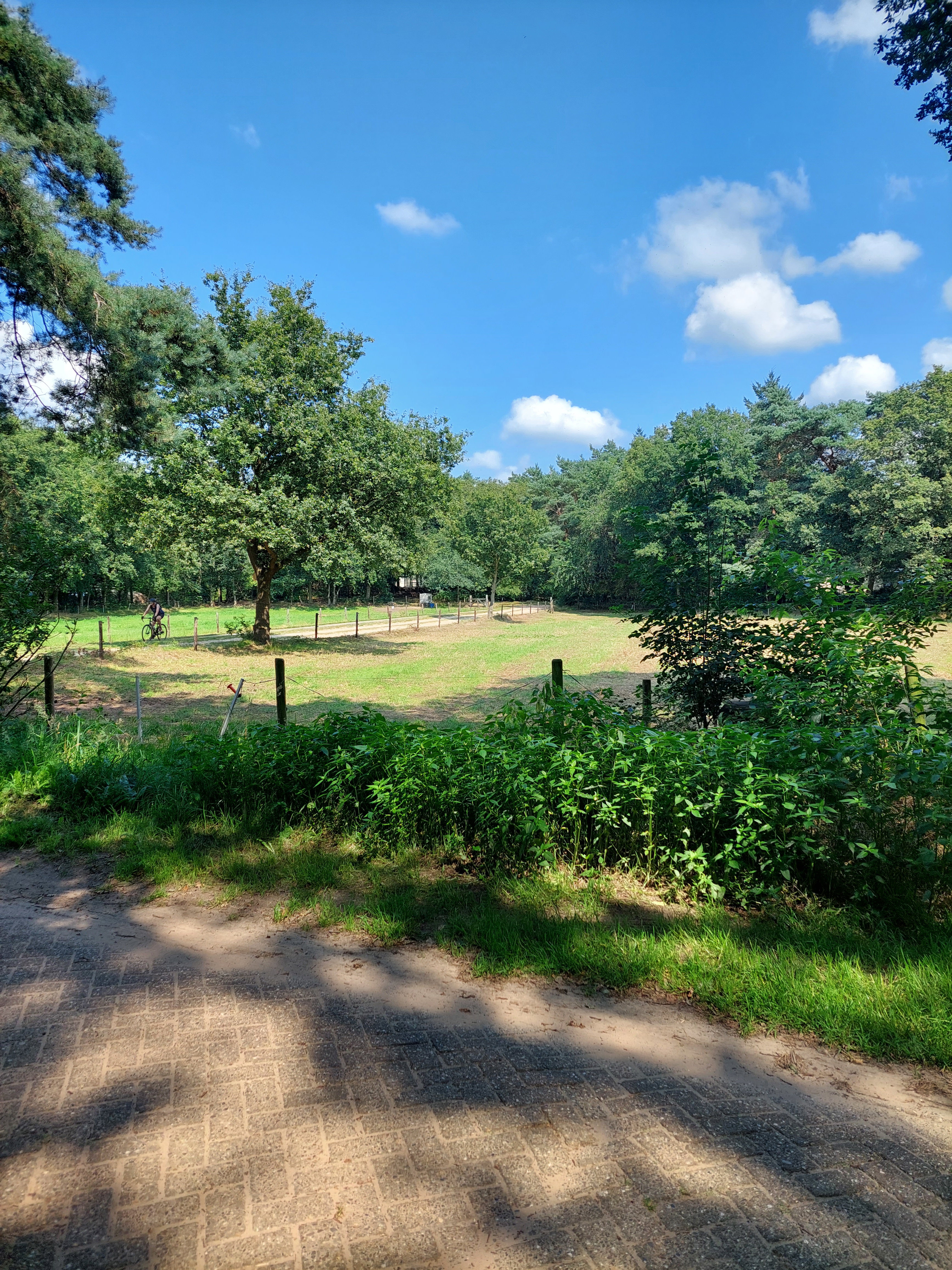 Naturhäuschen in Dalfsen