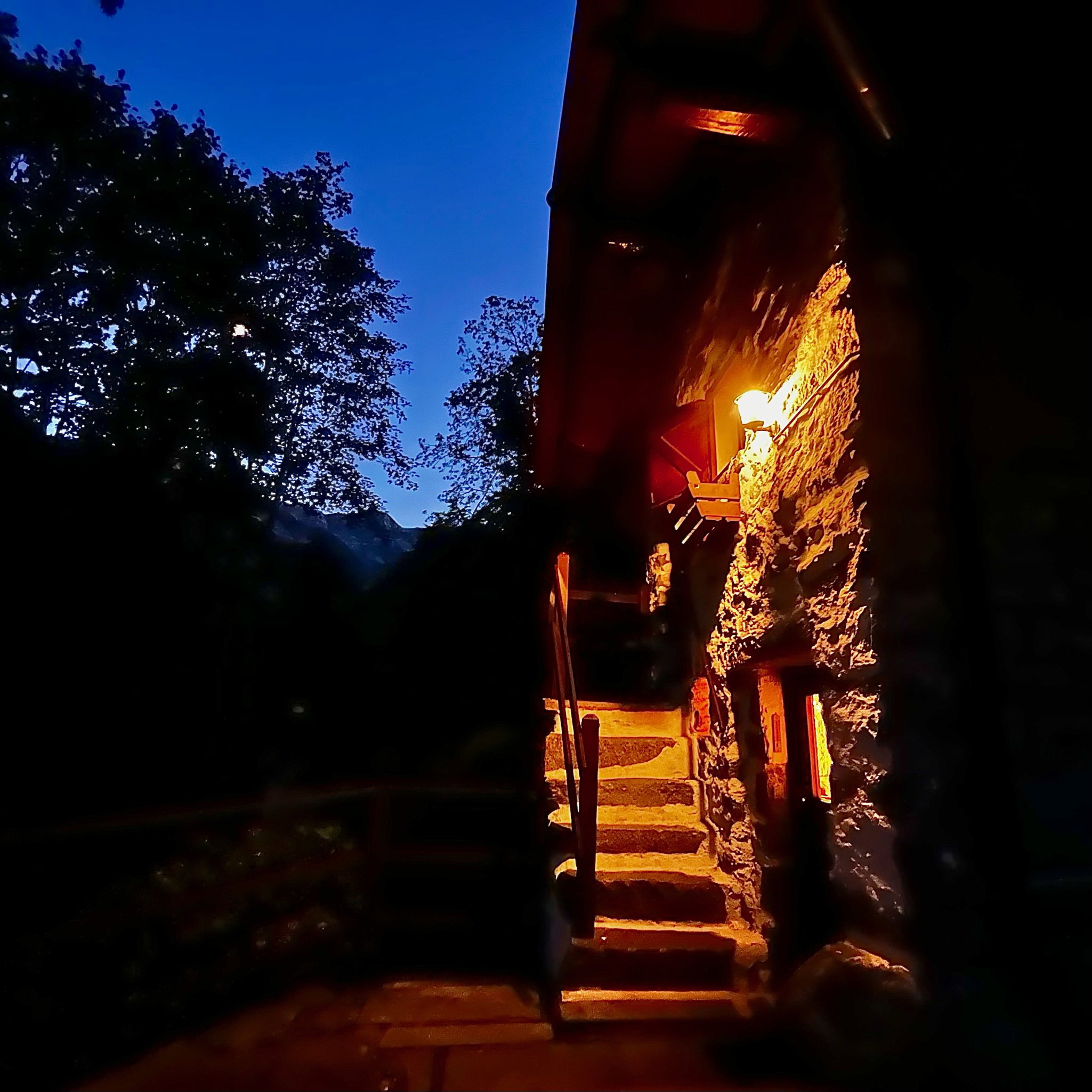 - image: 12