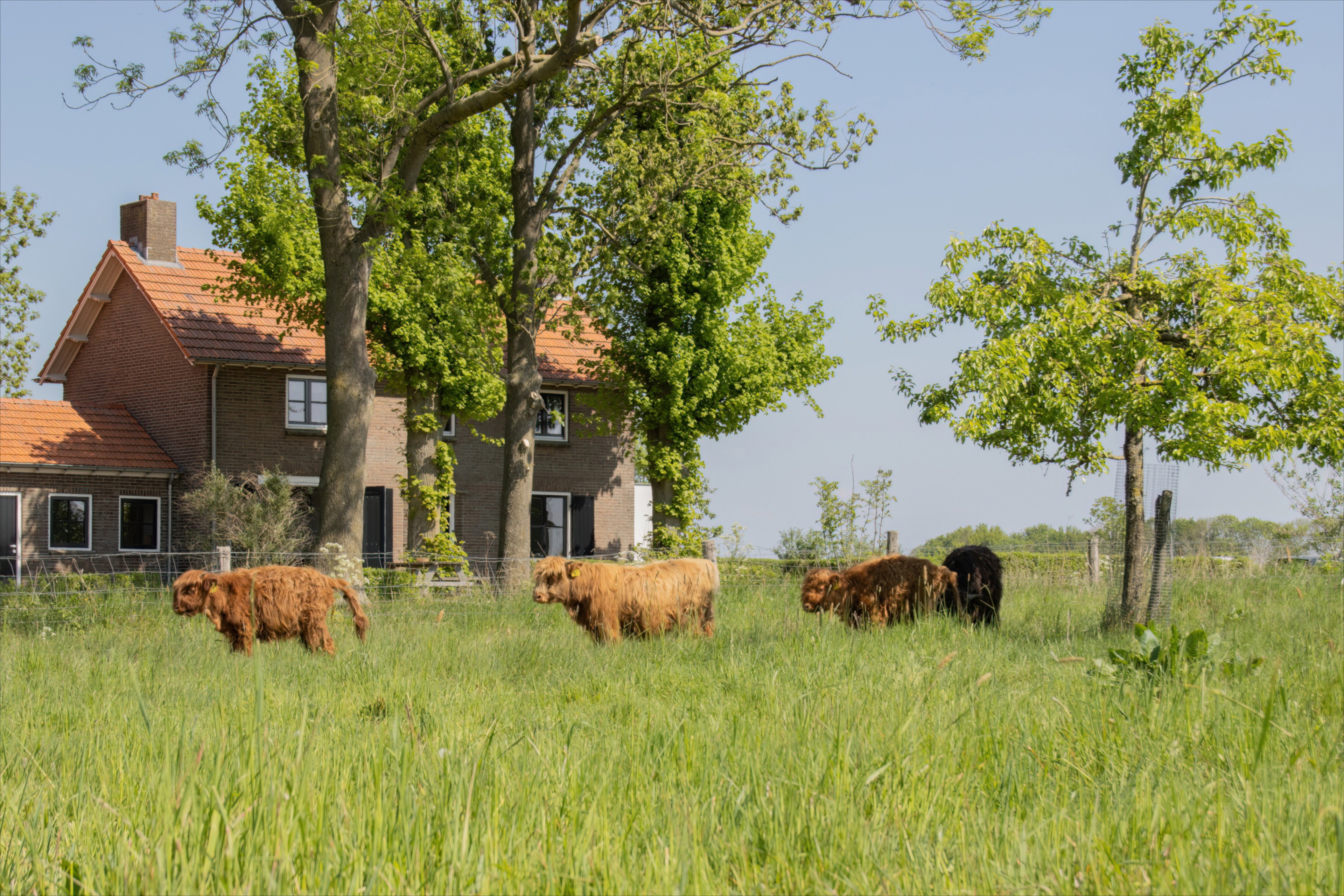 Naturhäuschen in Keent