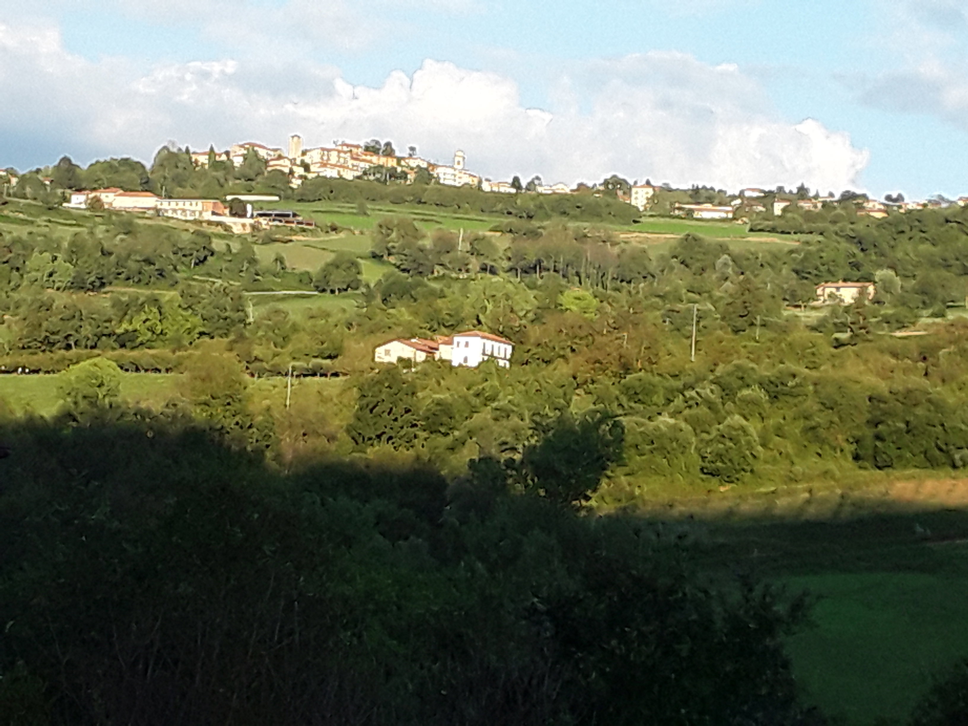- image: 11