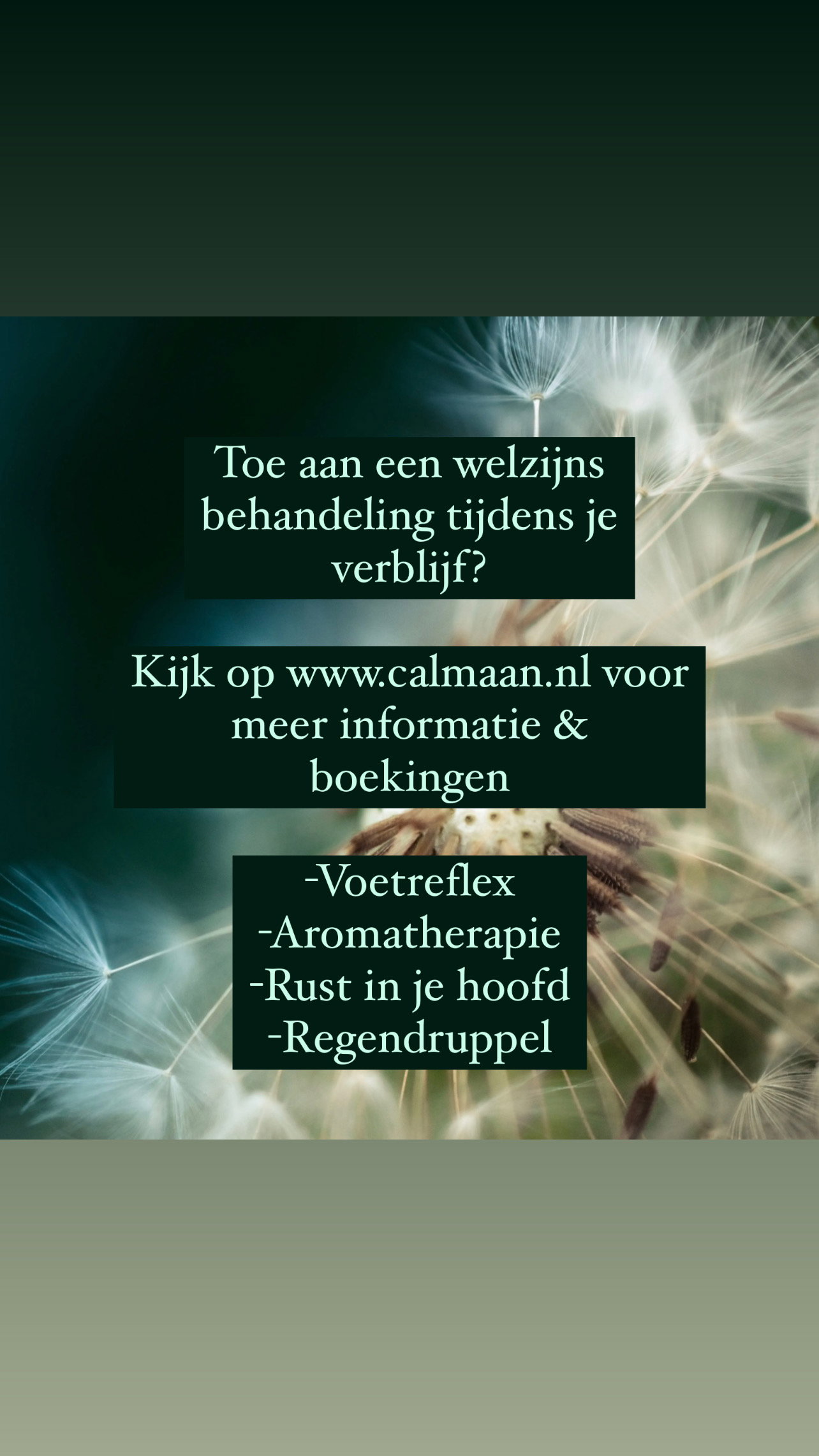 - image: 21