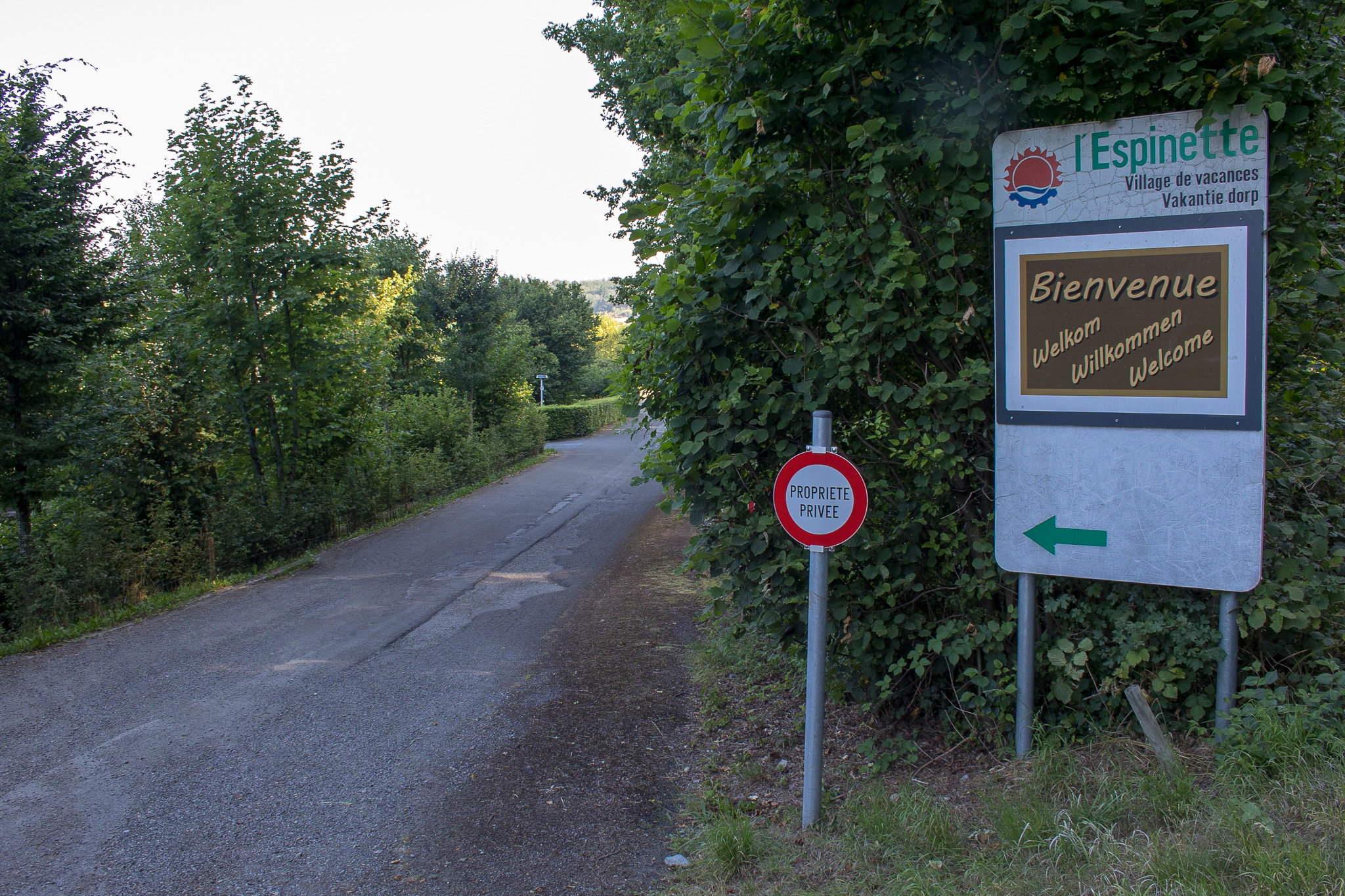 - image: 11