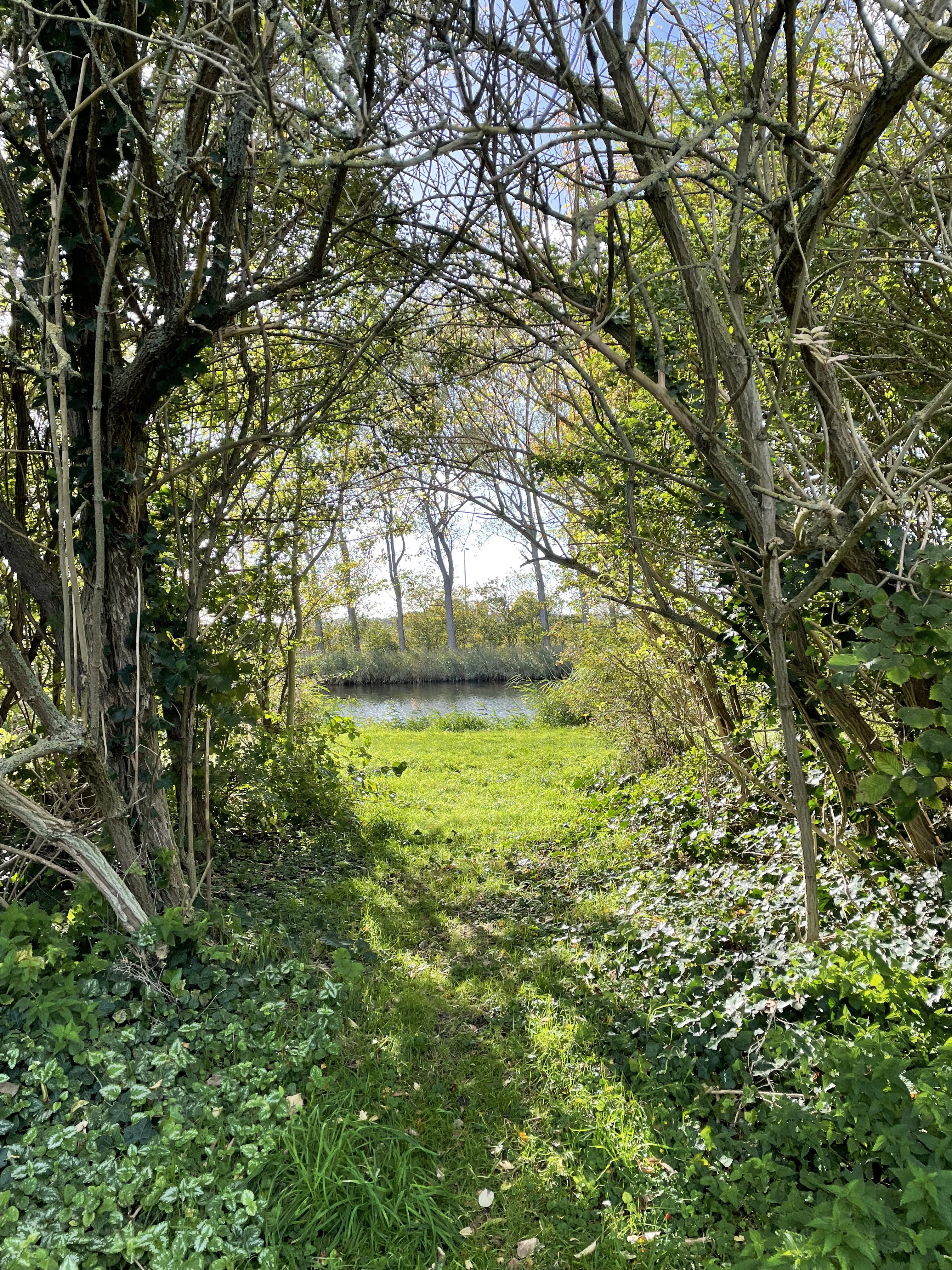 Naturhäuschen in Warmenhuizen