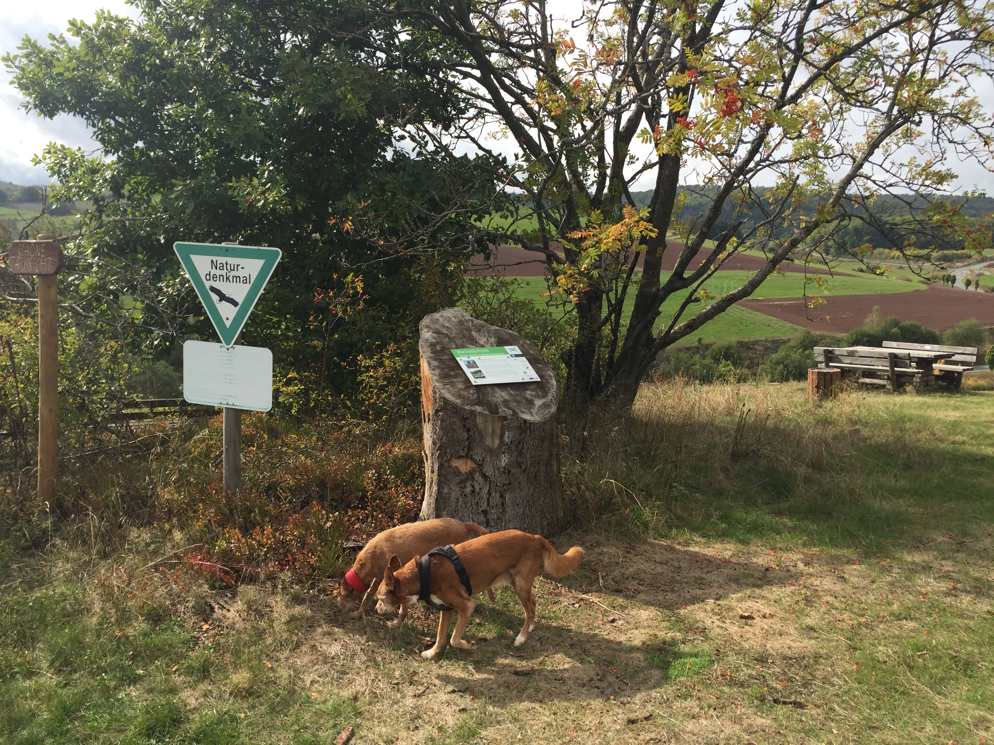 Naturhäuschen in Hommershausen