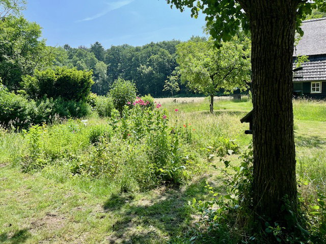 Casa nella natura a Vierakker