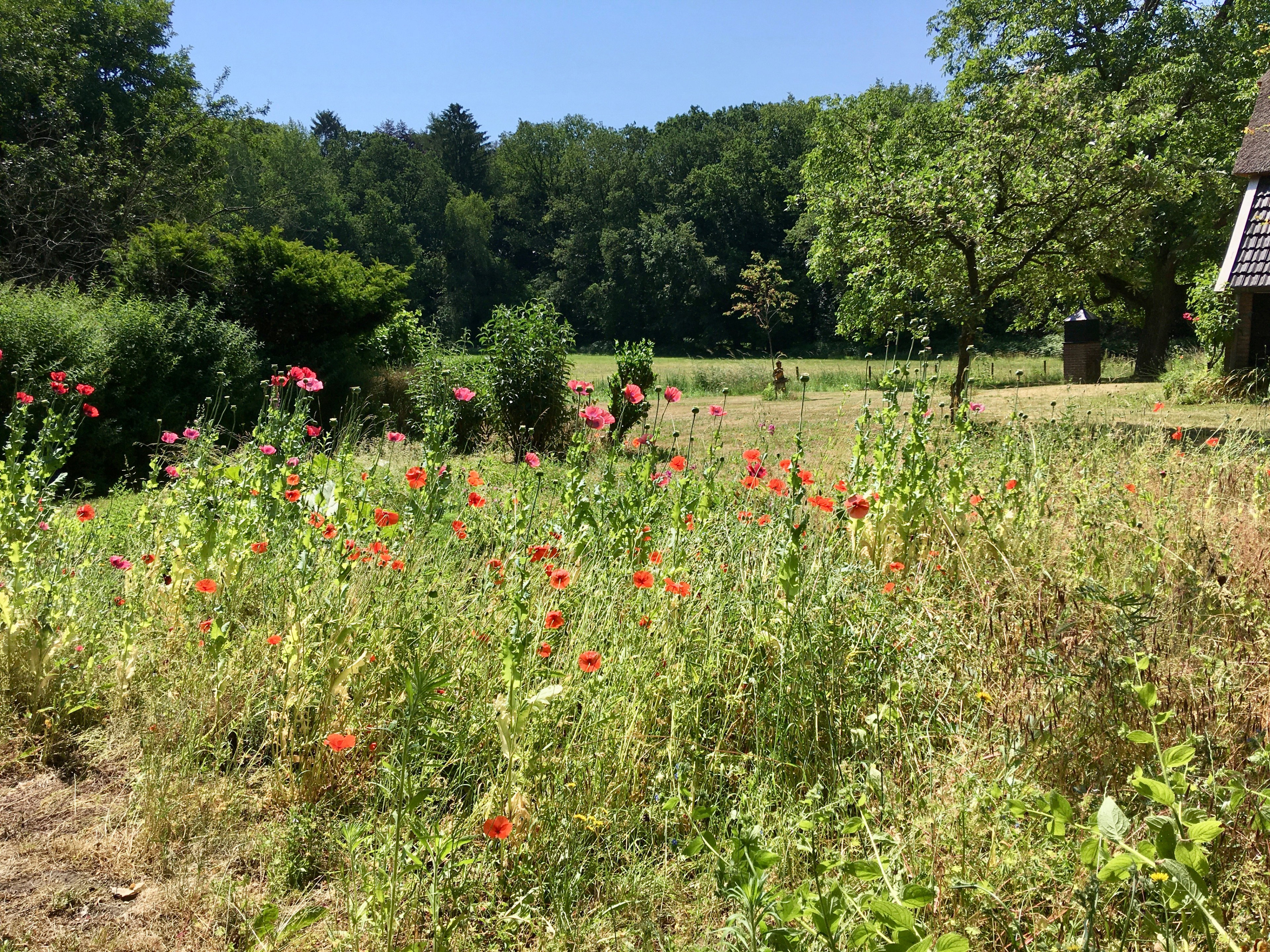 Natuurhuisje in Vierakker