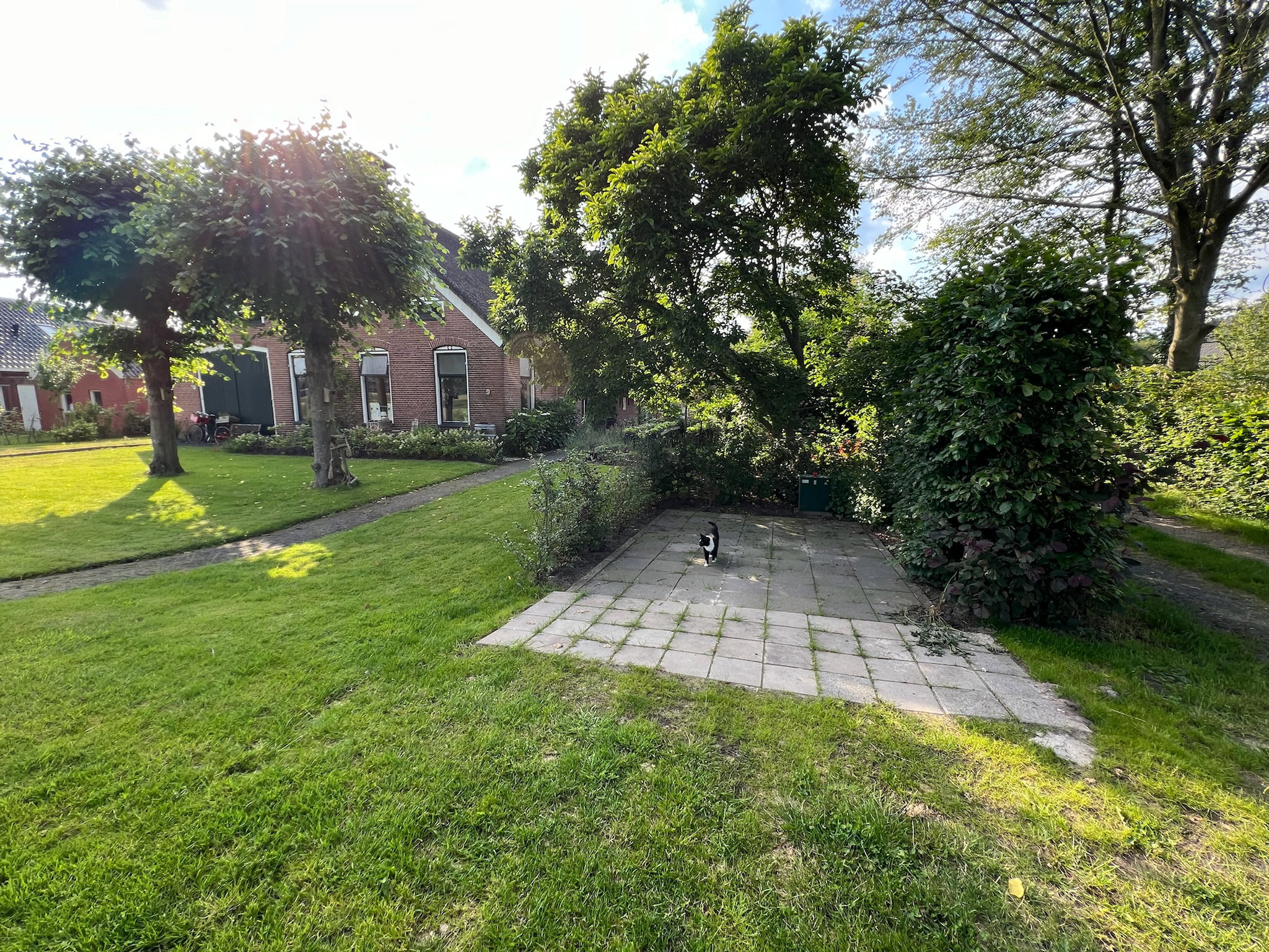 Casa nella natura a Westdorp