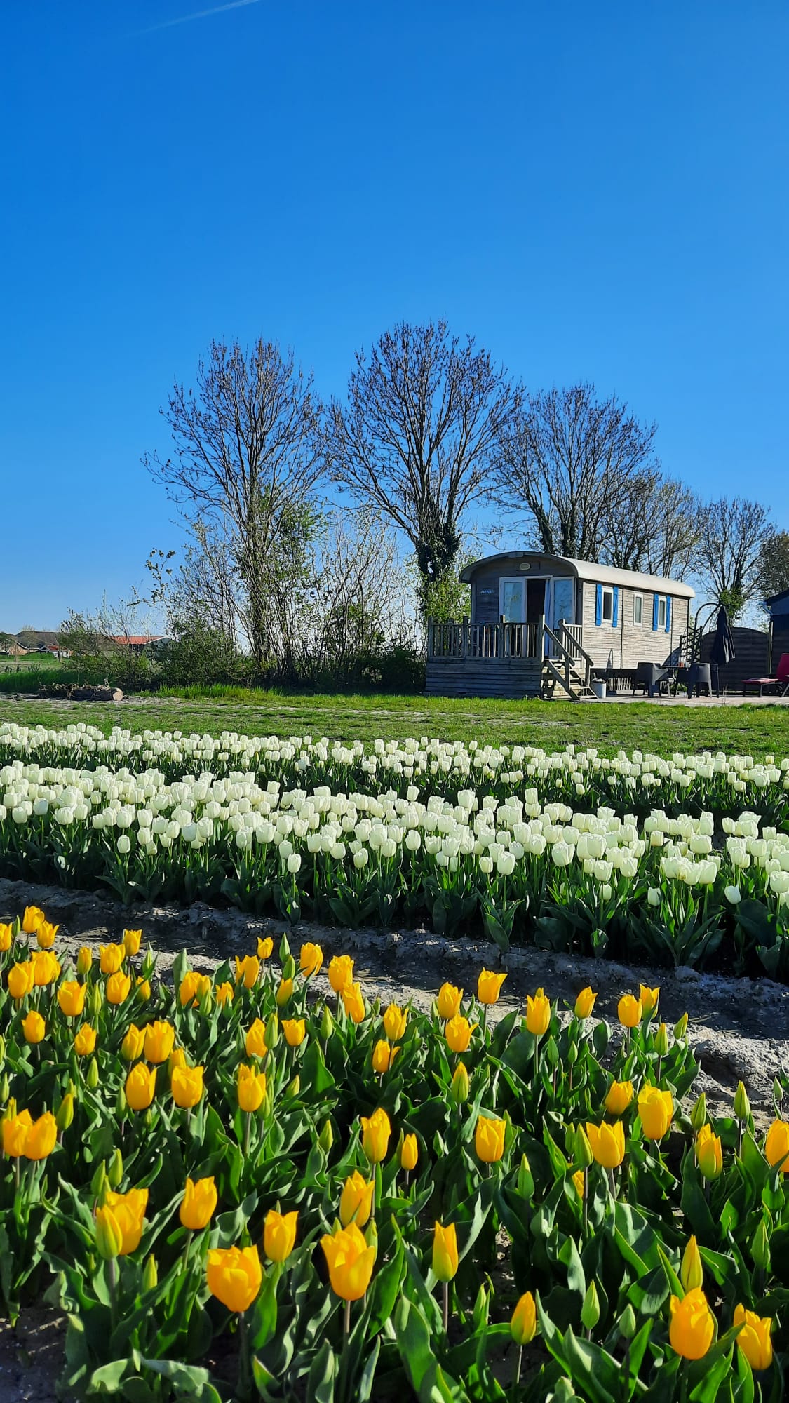 Natuurhuisje in Zonnemaire