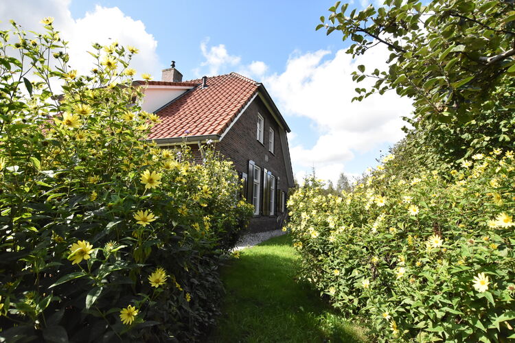 Naturhäuschen in Hollandscheveld