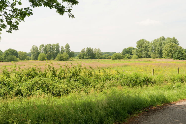 - image: 22