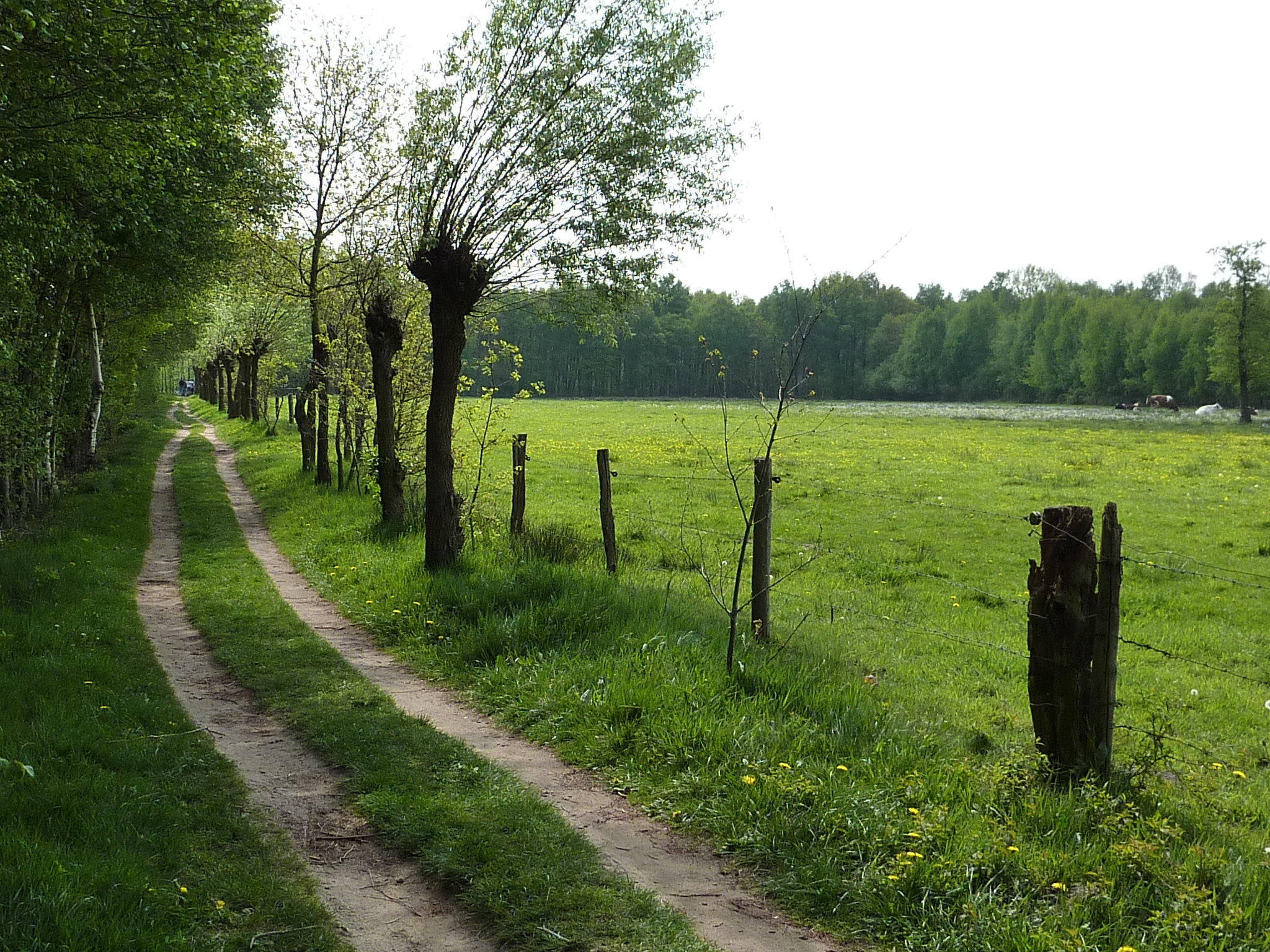 Naturhäuschen in Lievelde