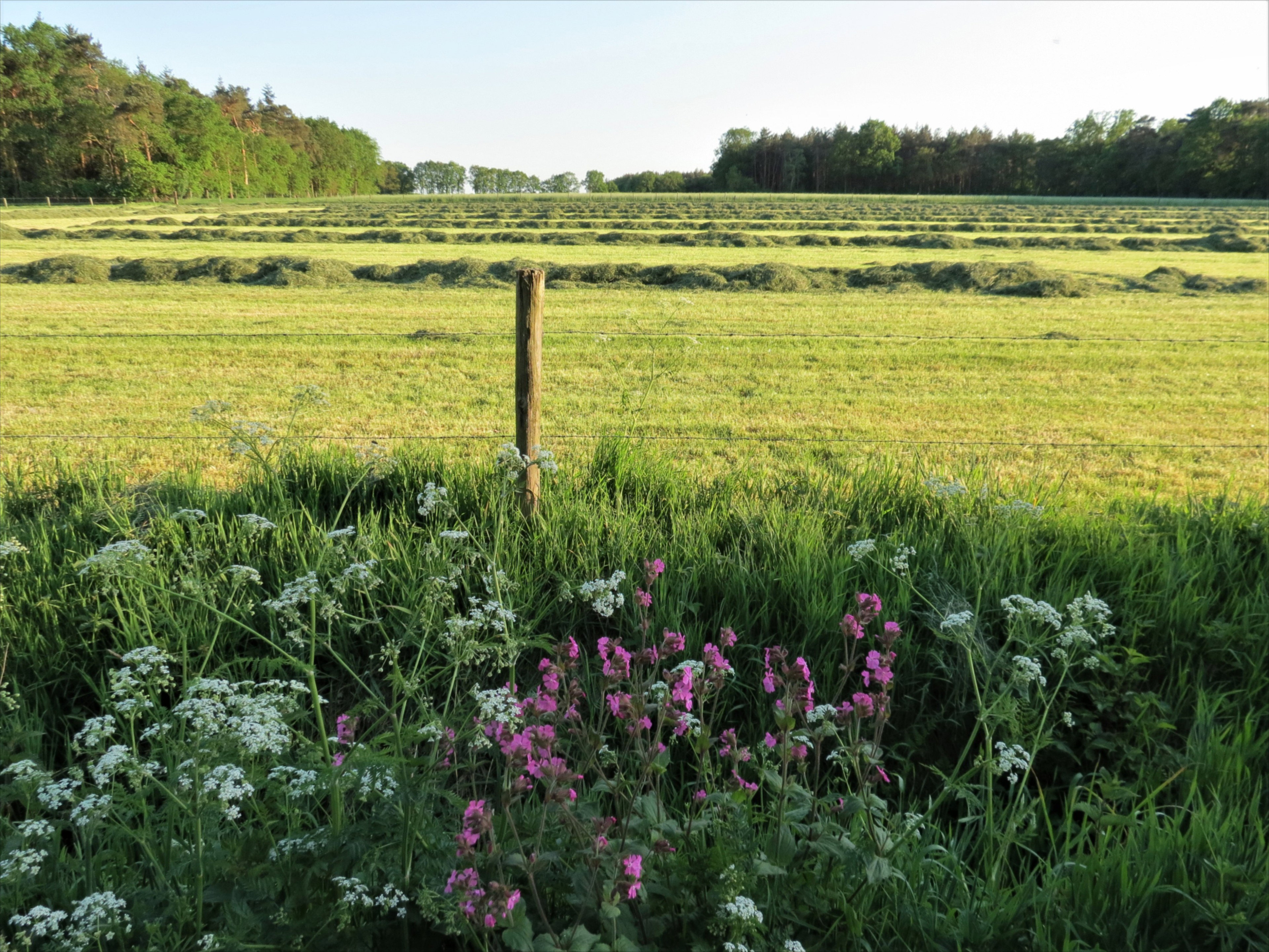 Natuurhuisje in Lievelde