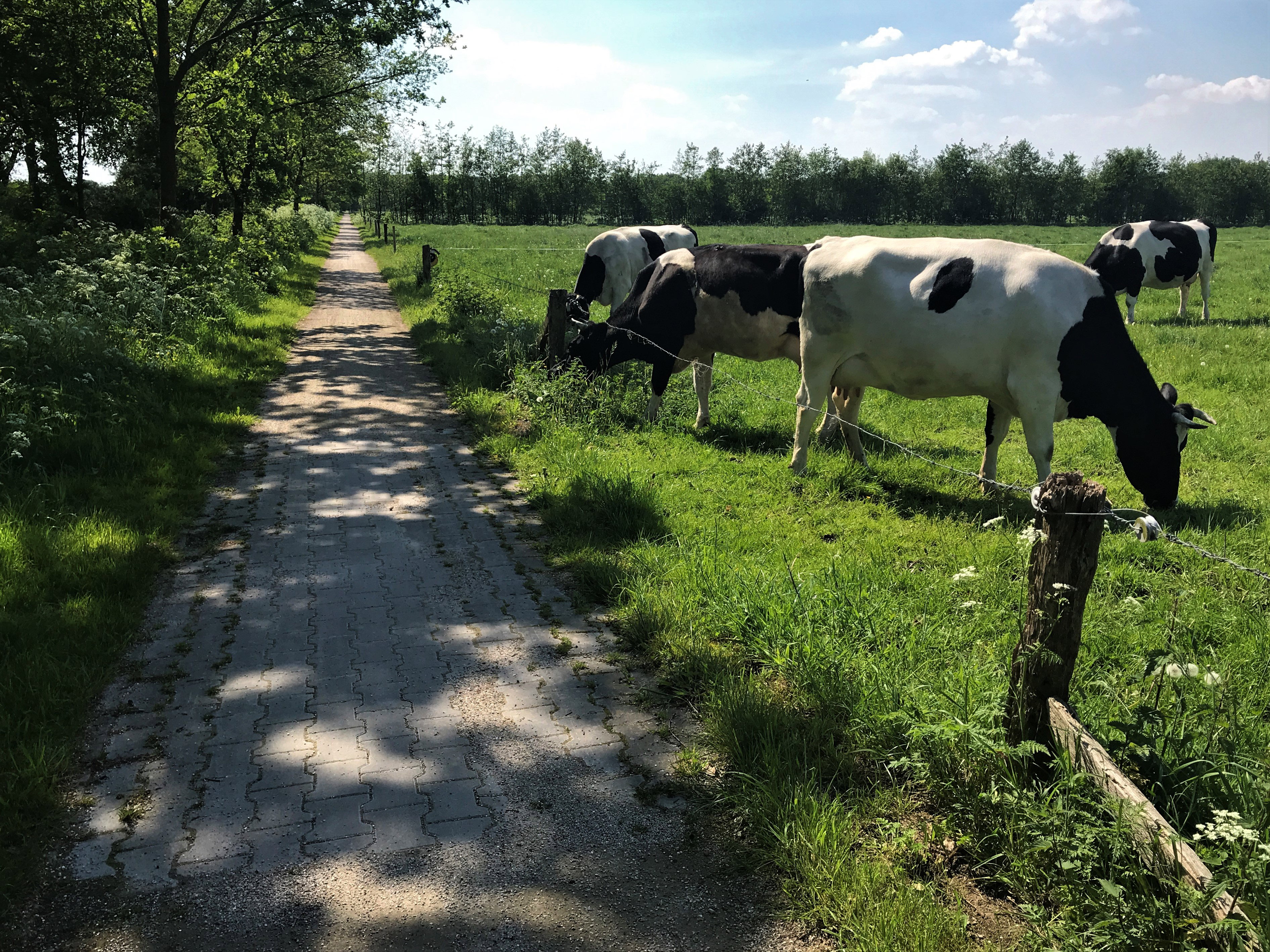 Natuurhuisje in Lievelde