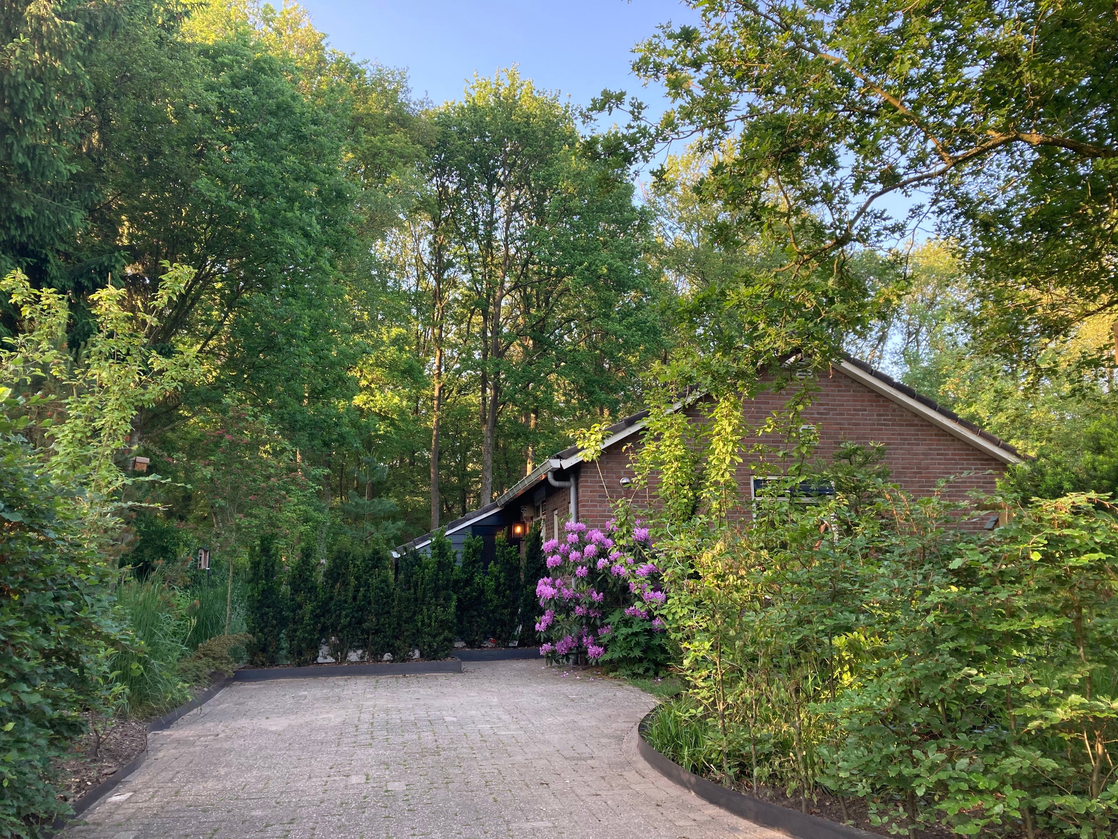 Maison nature à Gasselte