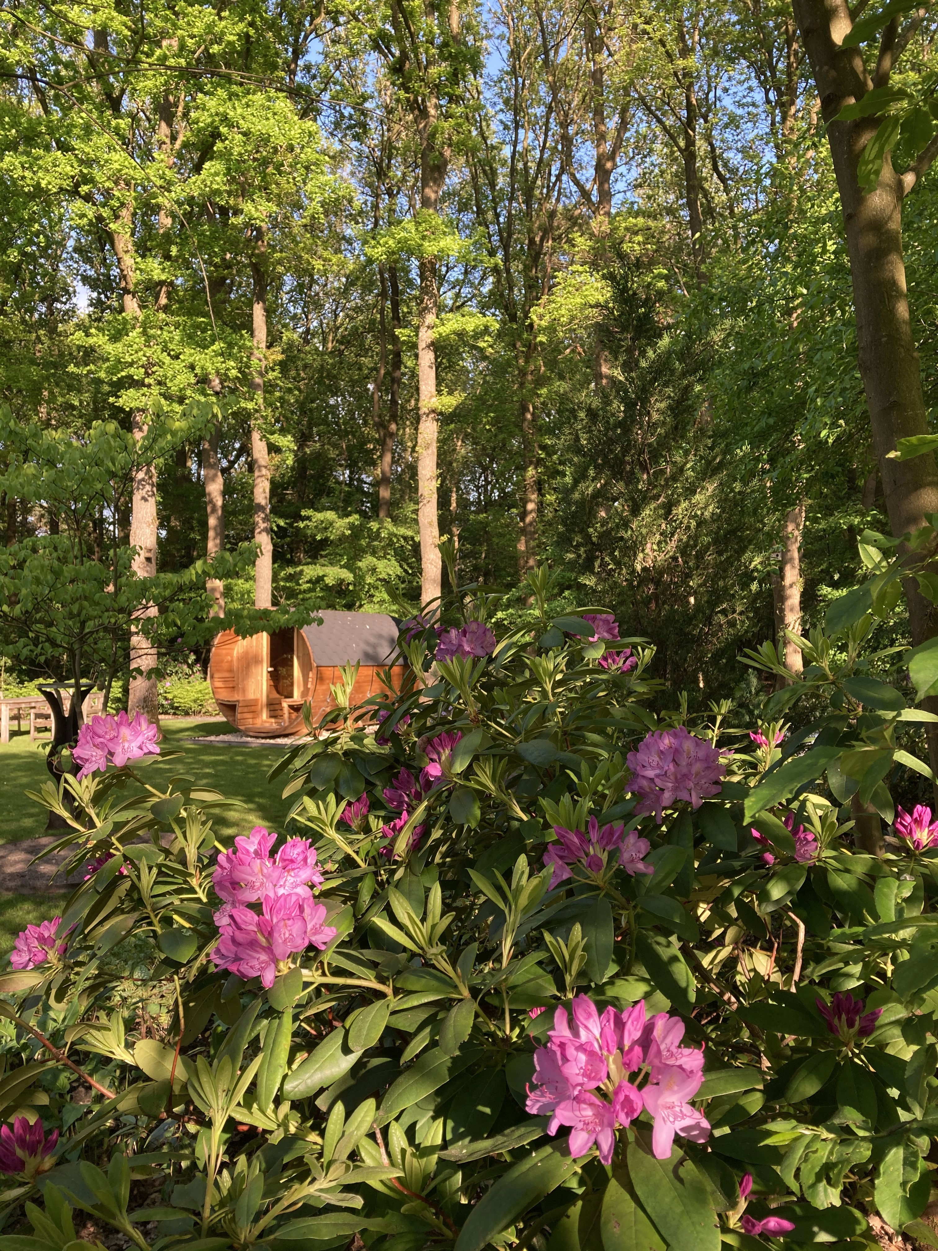 Maison nature à Gasselte
