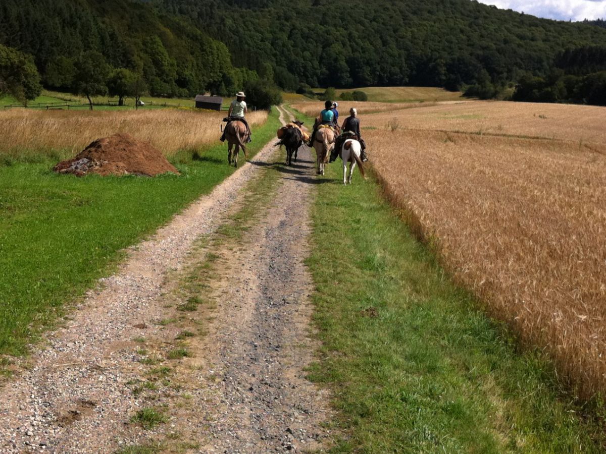 Natuurhuisje in Honerath